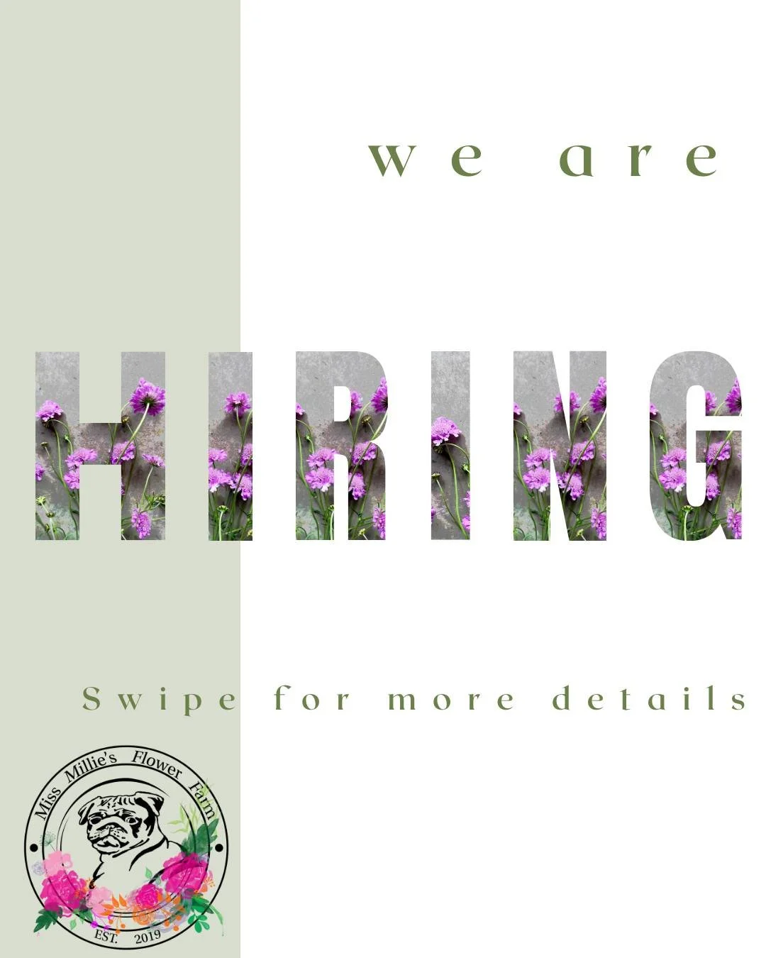We&rsquo;re hiring for the season! 🌸
If you love flowers, working outdoors, and being part of a small farm team, we&rsquo;d love to hear from you.

Please swipe through the slides for more details.
Applications are accepted via email only: info@miss