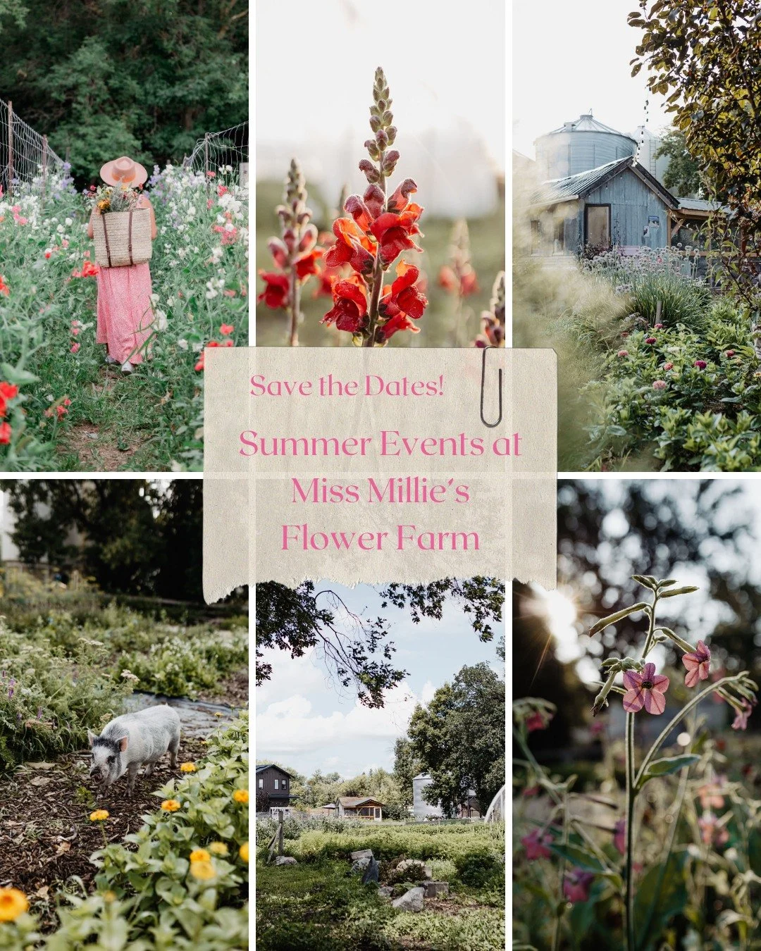 Save the dates! 

Every year we love to bring back events that worked well and you guys seem to love! This year we are really excited to announce that Buttercream &amp; Blossoms will be back! Barks &amp; Blooms will be back for the 3rd year in a row,