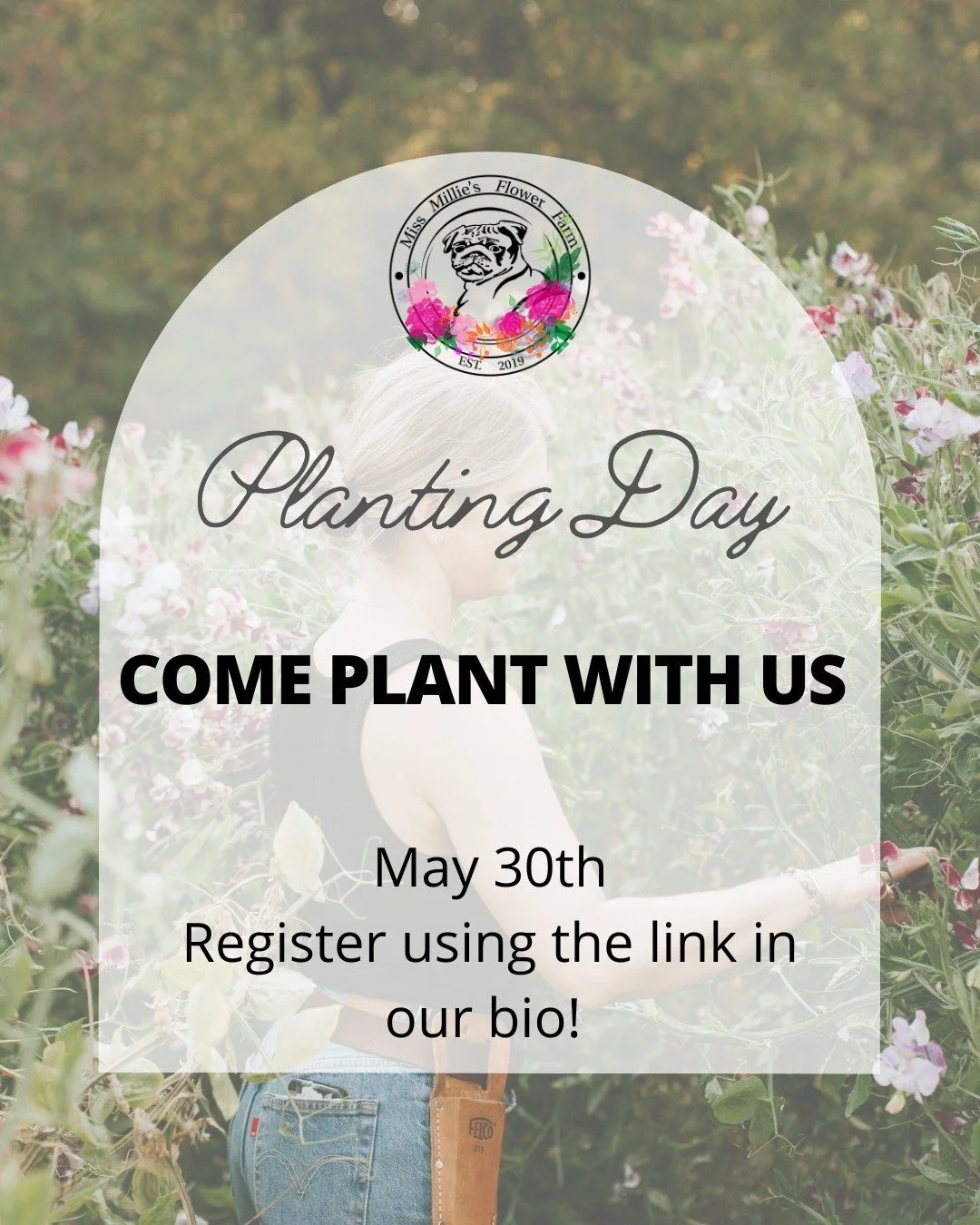 Come plant with us! 

Our annual planting day tradition is just around the corner! Join us for a fun day in the garden planting out everyone's favorite warm season annuals! 
You can register using the link in our bio or send me an email at info@missm