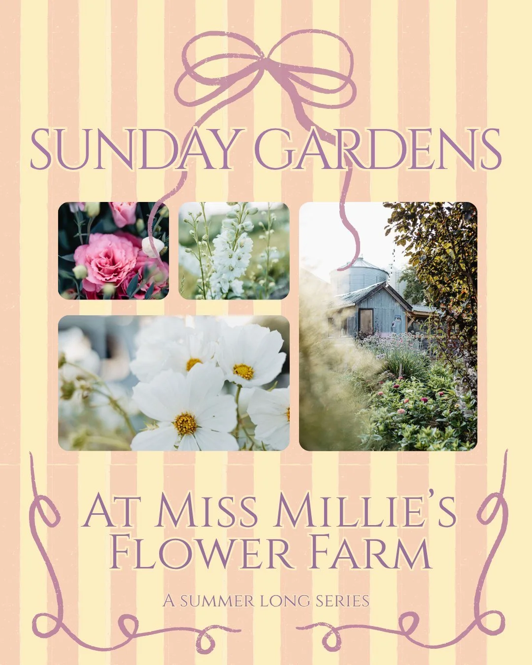 Introducing Sunday Gardens at Miss Millie's 🌸
A summer series built around slowing down.
Take your Sundays back- timeless and intentional.
From creative workshops to quiet, restorative experiences in the garden. Each Sunday offers something differen