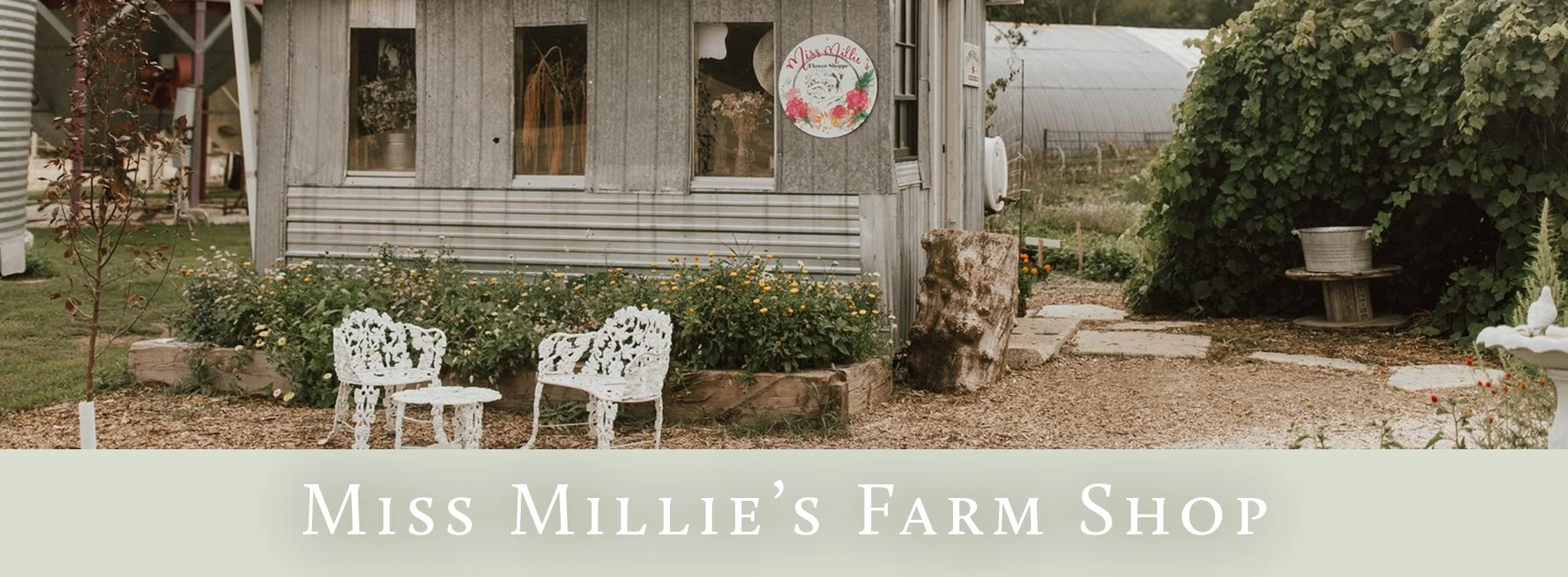 Shop — Miss Millie's Flower Farm