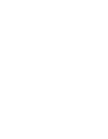 Wildbear Digital Logo