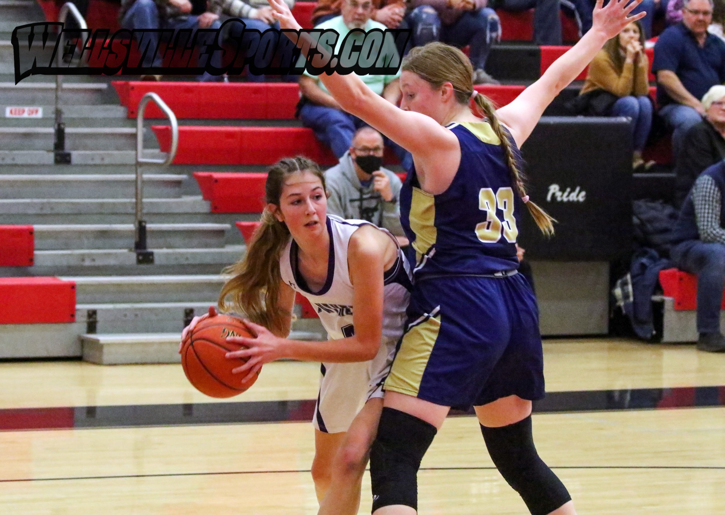  Andover/Whitesville freshman Graci Lewis-Ellison, off-center, looks to provide a pass inside while be guarded by the Notre Dame-Batavia defense down low during Monday’s Class D State Qualifier in Dansville. [Chris Brooks/WellsvilleSports.com] 