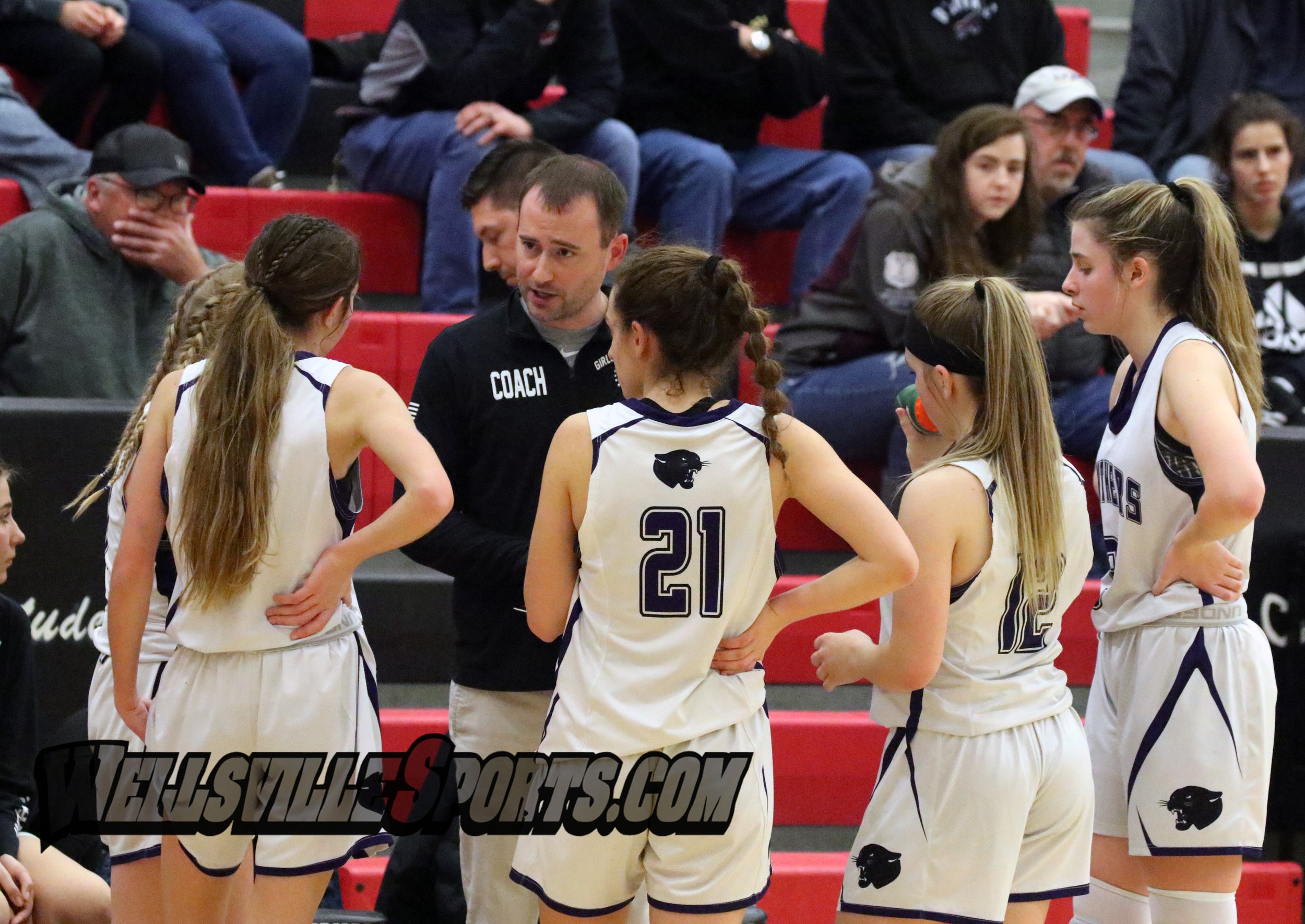  Andover/Whitesville co-coach Aaron Rawady, off-center, talks with his team during a timeout on the floor of Monday’s Class D State Qualifier against Notre Dame-Batavia, in Dansville. [Chris Brooks/WellsvilleSports.com] 