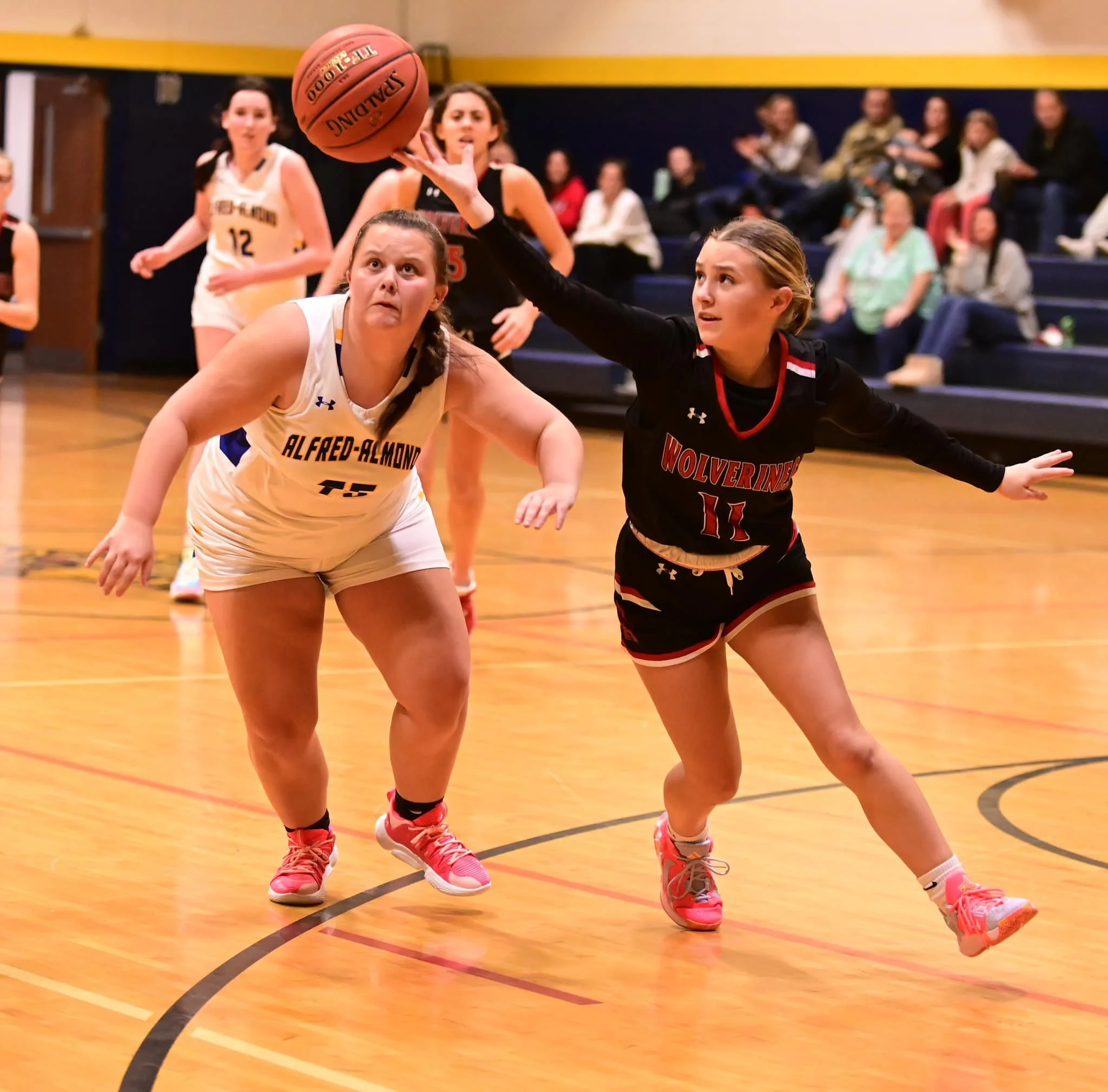 Thursday Roundup: Lady Wolverines evade late push by Alfred-Almond, squeeze towards win at Scio X-Mas Tourney; Lady Rebels, Pioneer to meet in C-R’s 1st Annual Tri-County title game