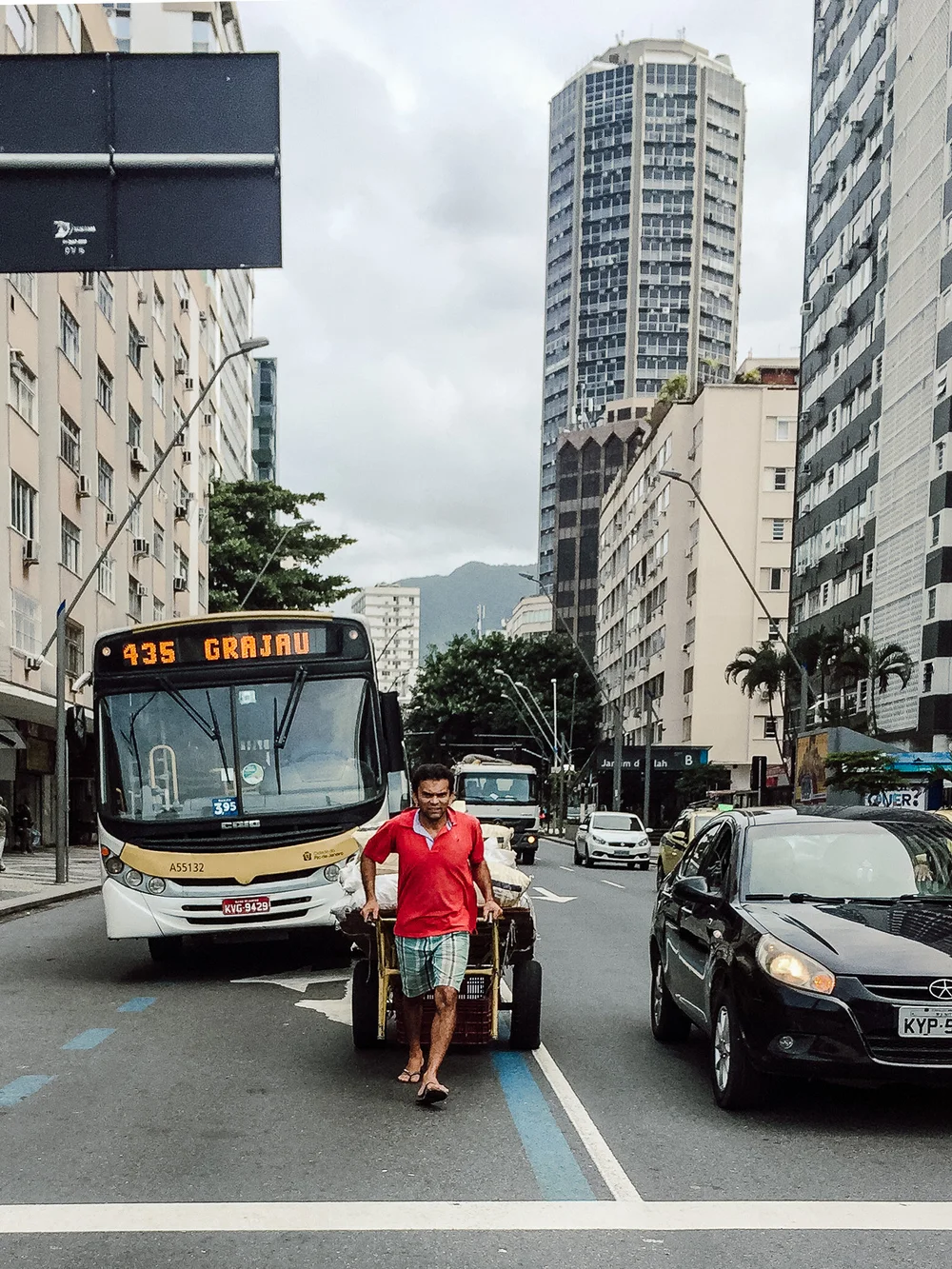 Diversität nicht nur in der Natur sondern auch im Verkehr