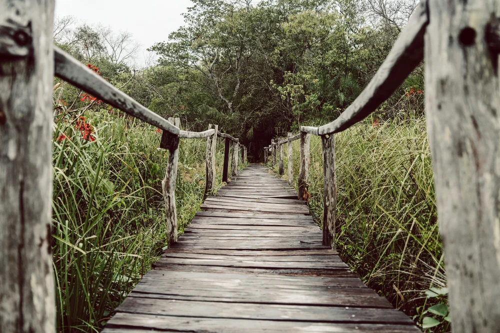 Fotografie / Blog / Brasilien  / Travel / Reiseblog / Fotograf