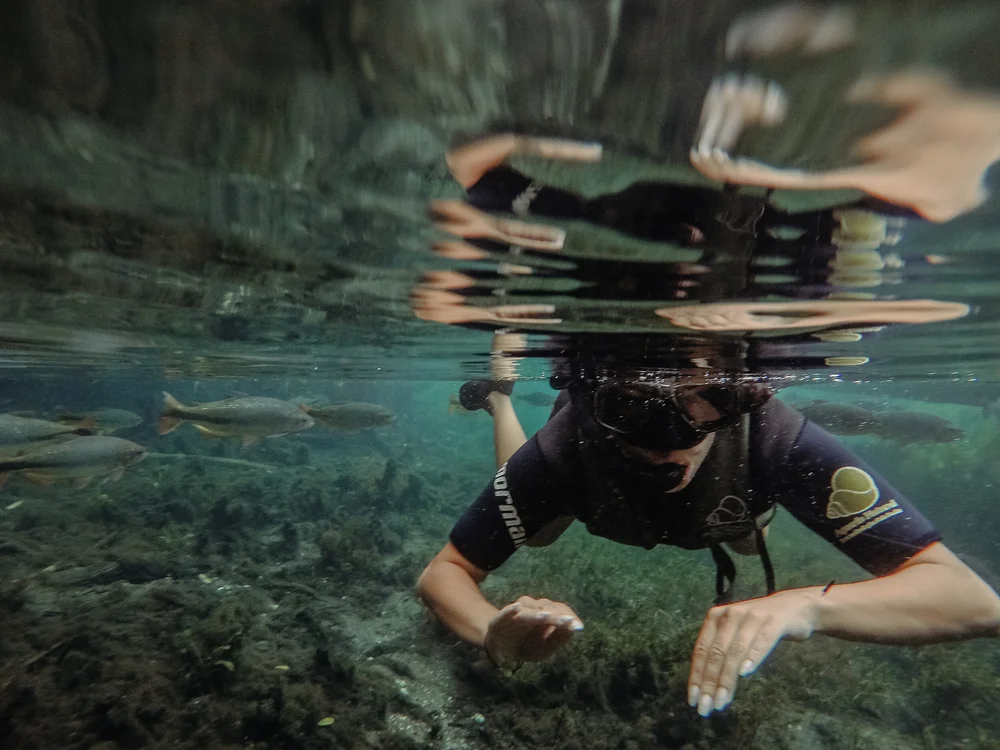 Fotografie / Blog / Brasilien  / Travel / Reiseblog / Fotograf