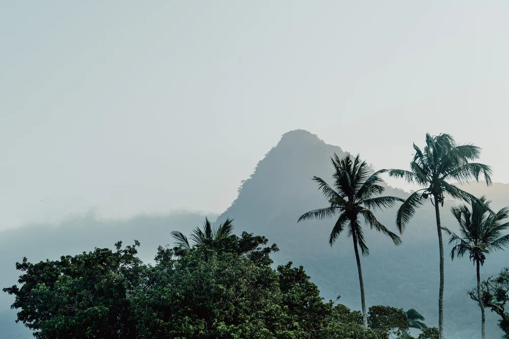 Fotografie / Blog / Brasilien  / Travel / Reiseblog / Fotograf