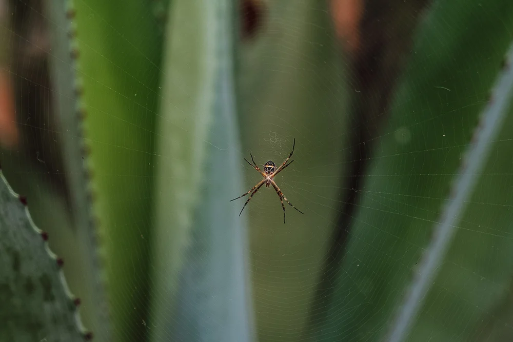 Fotografie / Blog / Brasilien  / Travel / Reiseblog