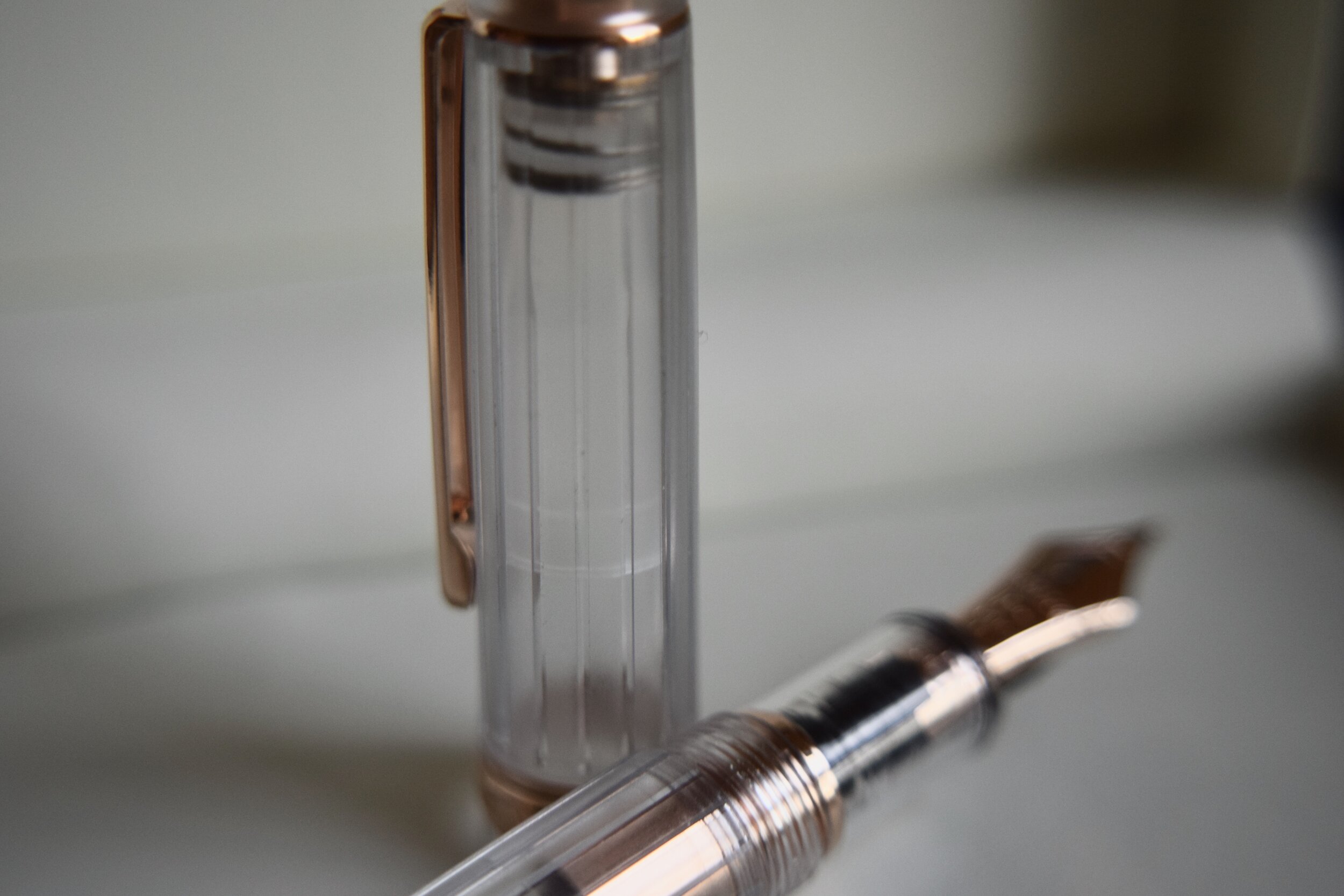 Platinum #3776 Century Nice Pur Fountain Pen – The Nibsmith