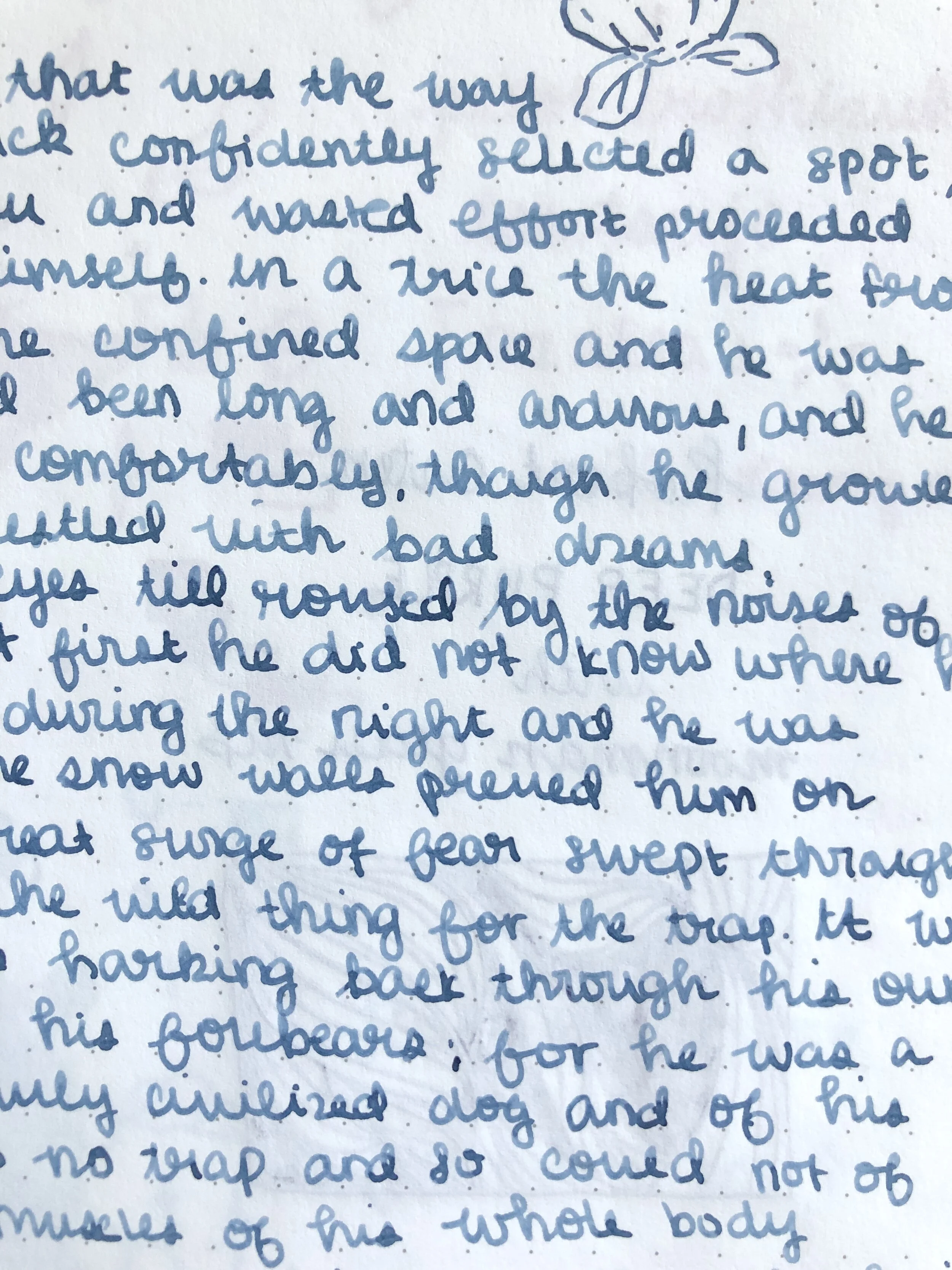 Ink Review 26 Rohrer & Klingner Eisen Gallus Salix — Fountain Pen