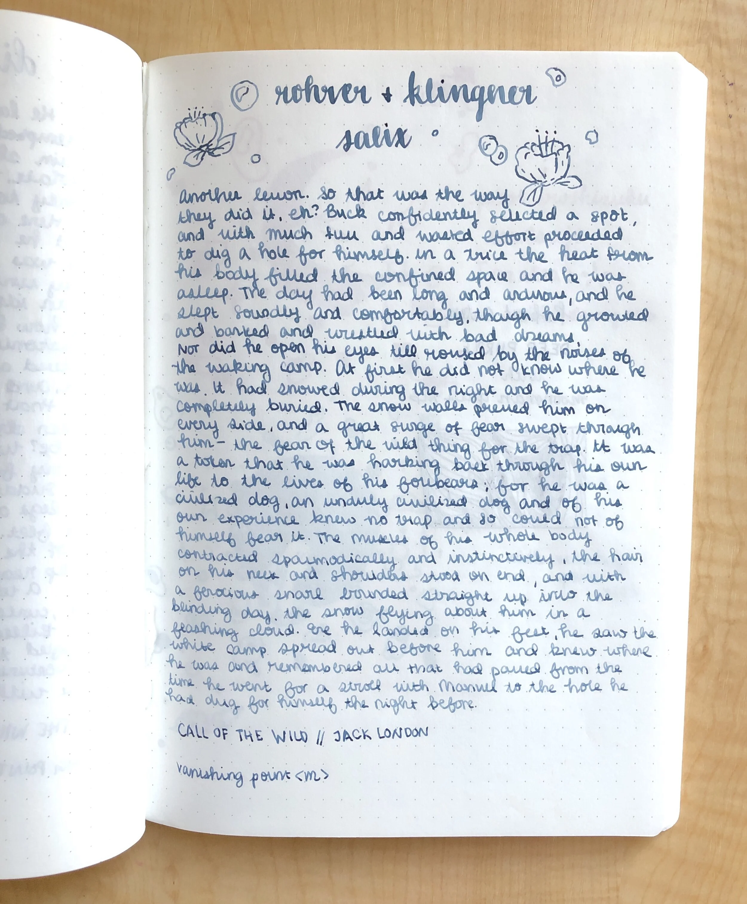 Ink Review 26 Rohrer & Klingner Eisen Gallus Salix — Fountain Pen