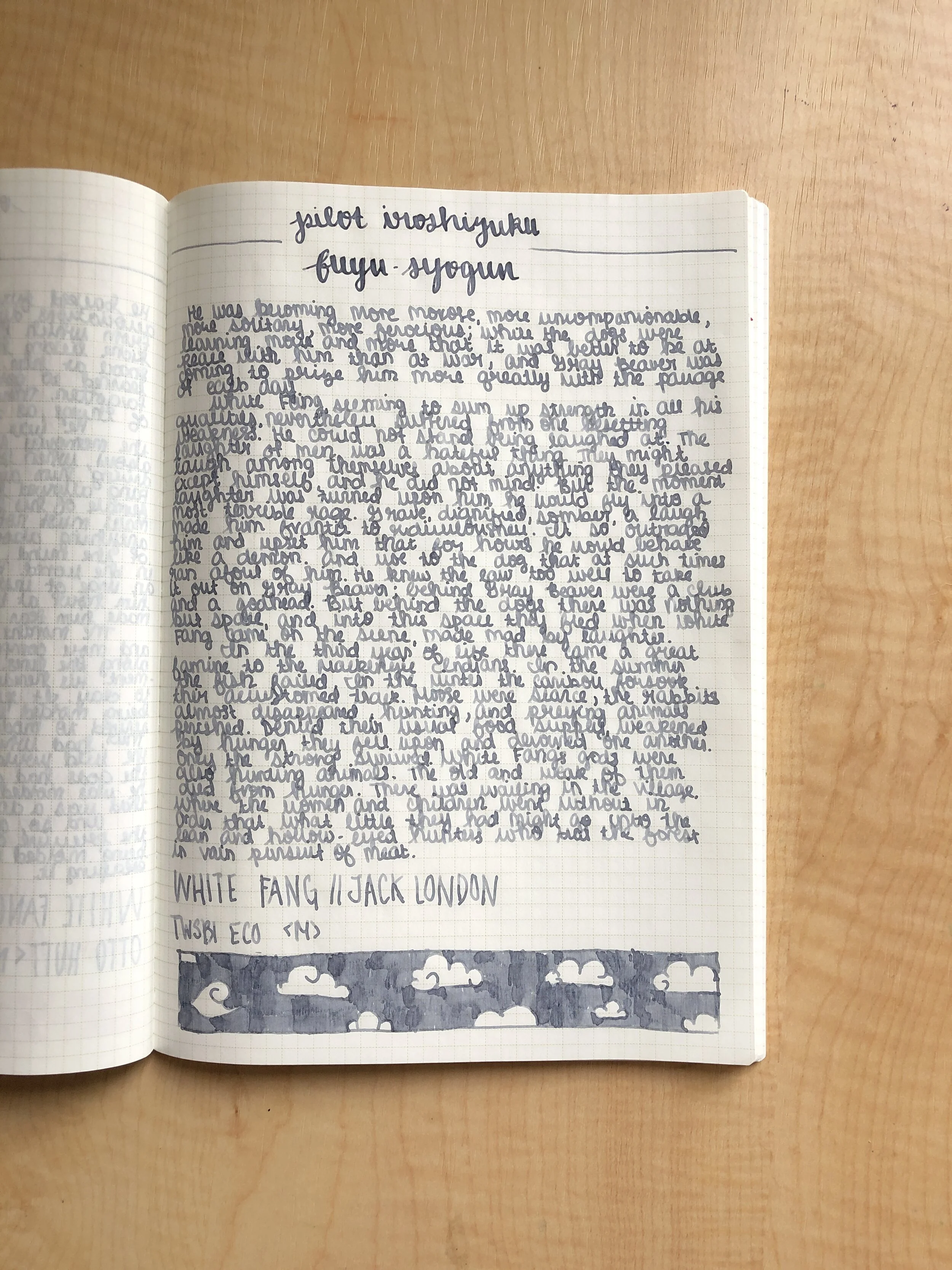 Fuyu Syogun Ink Review 2025