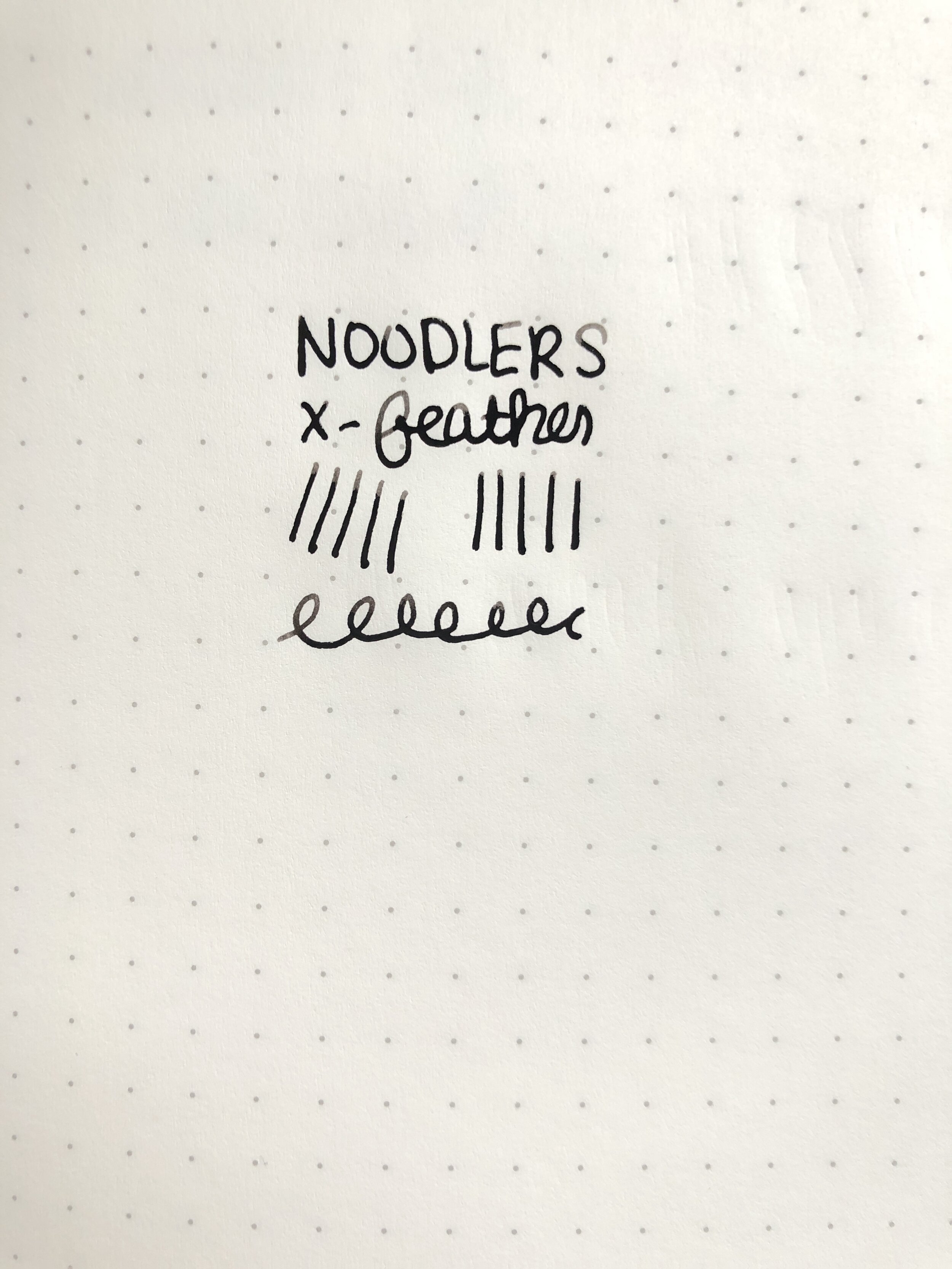 Noodler's X-Feather Black Fountain Pen Ink – Fountain Pen Revolution
