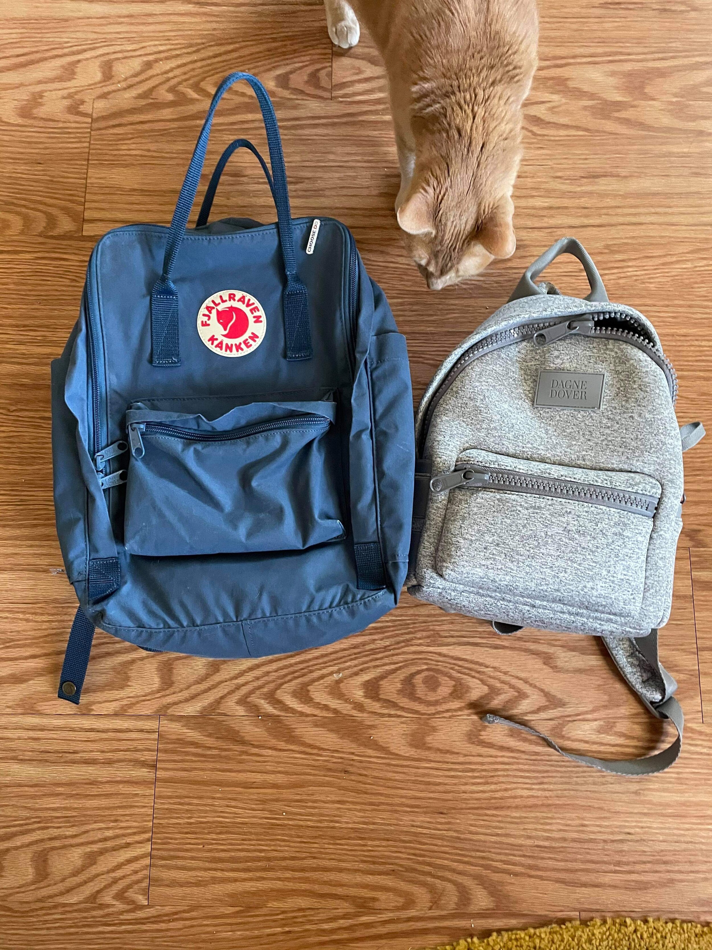dagne dover mini backpack