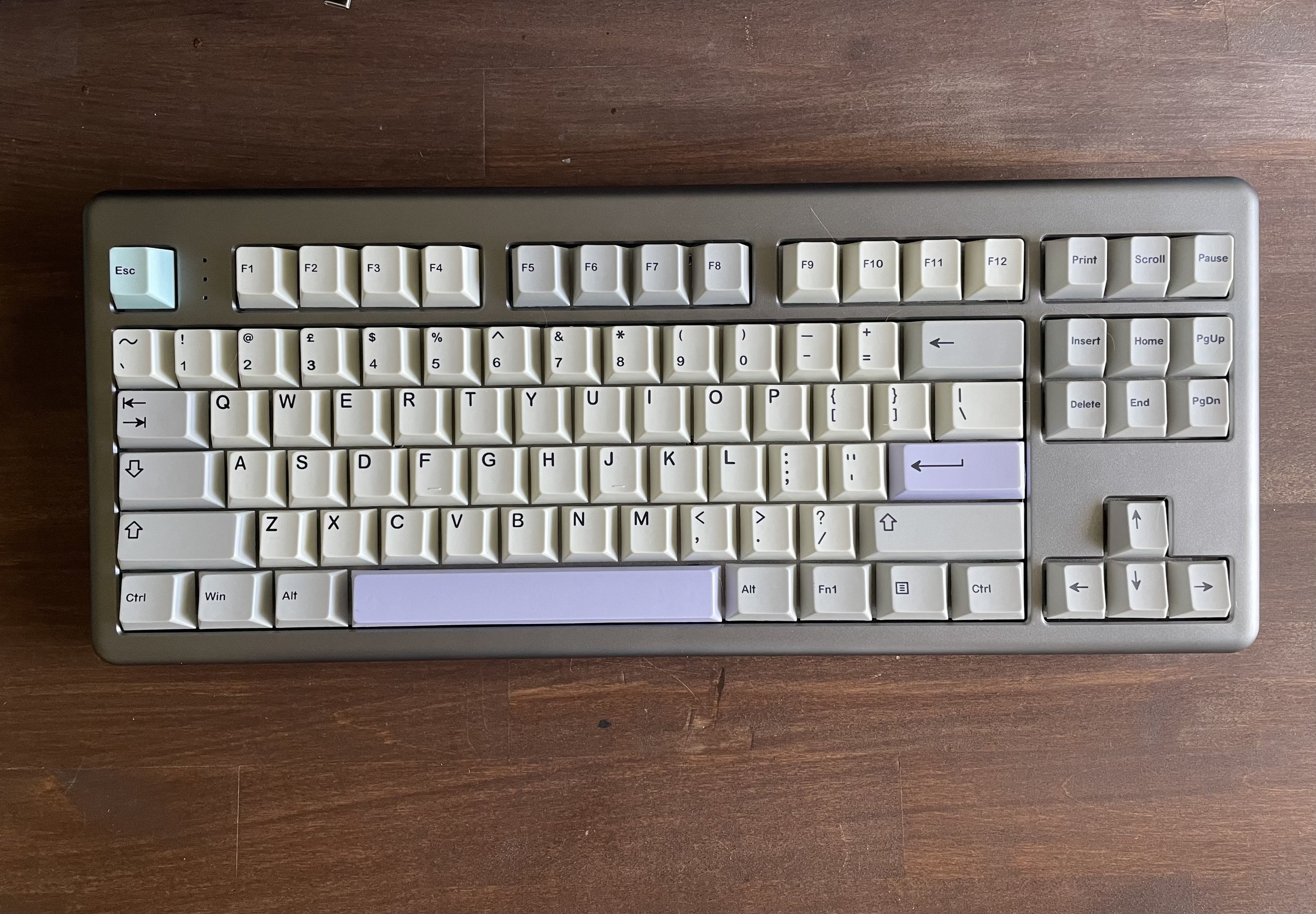  TFG Art Keyboard (TKL) with PBT Muted keycaps 
