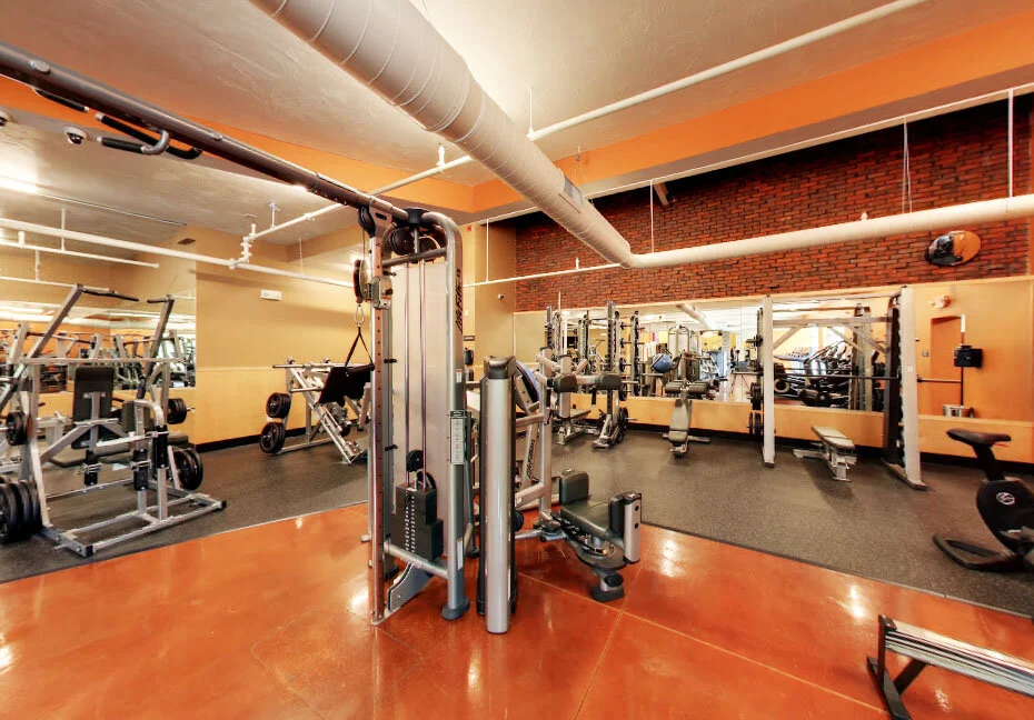 Interior 2.jpg