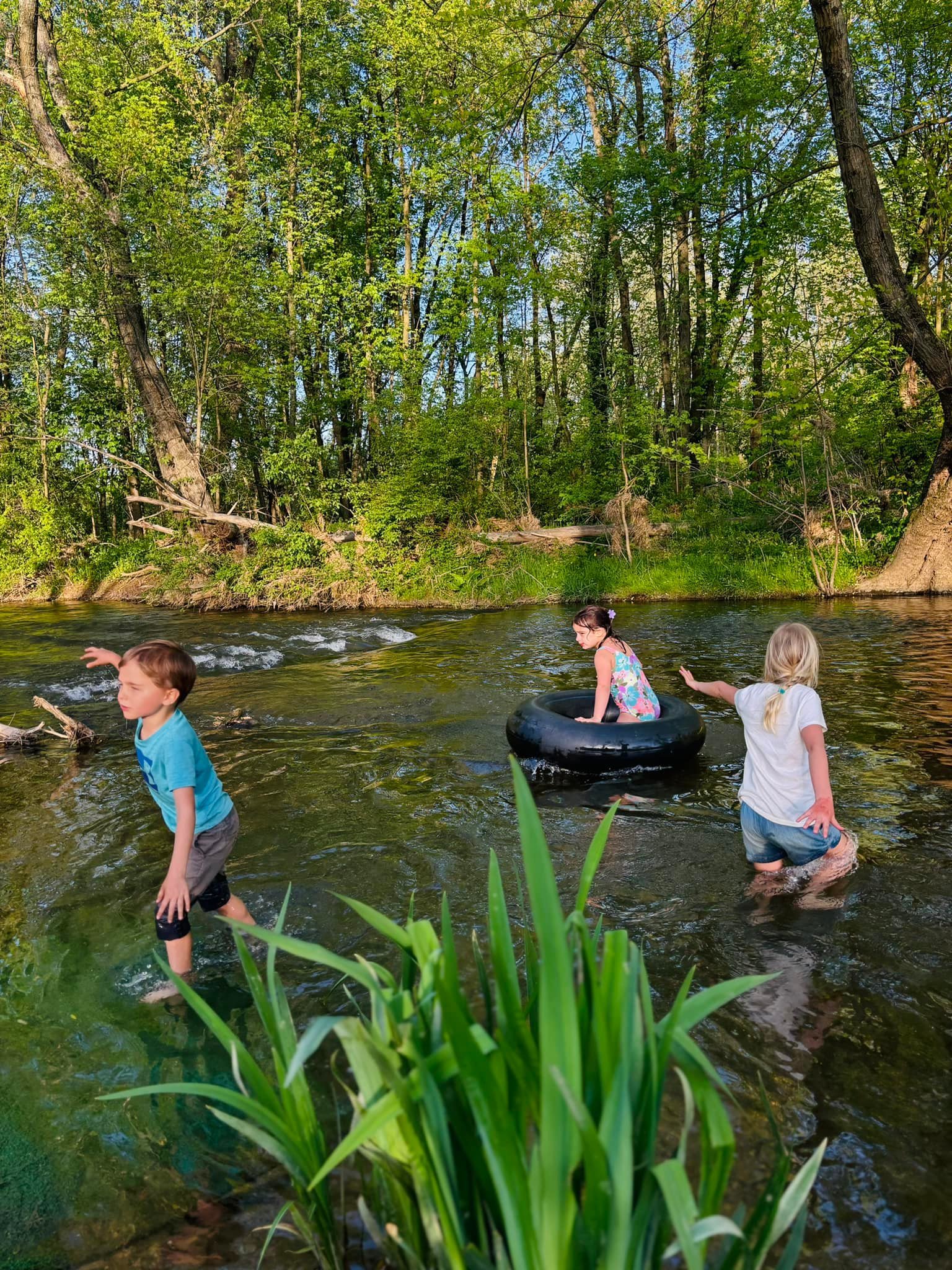 It's &quot;that&quot; time of year. 
The best time of year.

Cy looked down and said, &quot;what's that mommy?&quot; 
It was a snake...
In the water...
Right next to all of them.
I freaked out...

Guess who gave no fucks?! 🐍 
All of them...
Makes me