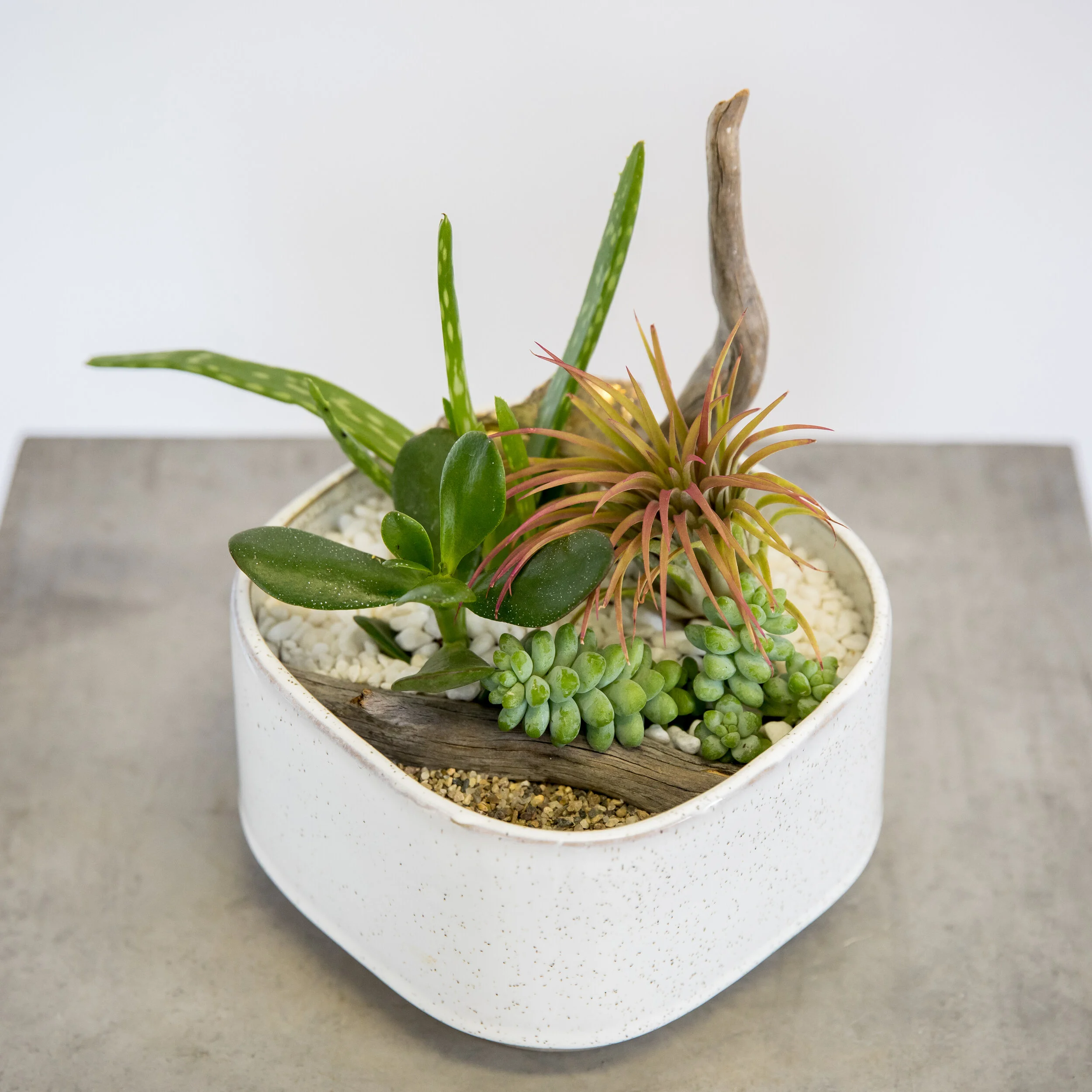 ONLINE SHOP Flowers Banff's Boutique Florist