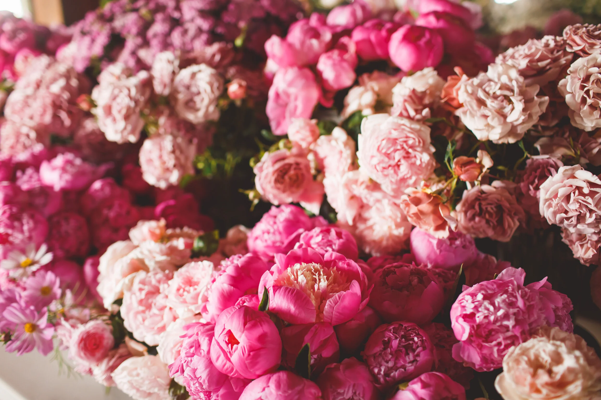 Flowers Banff's Boutique Florist