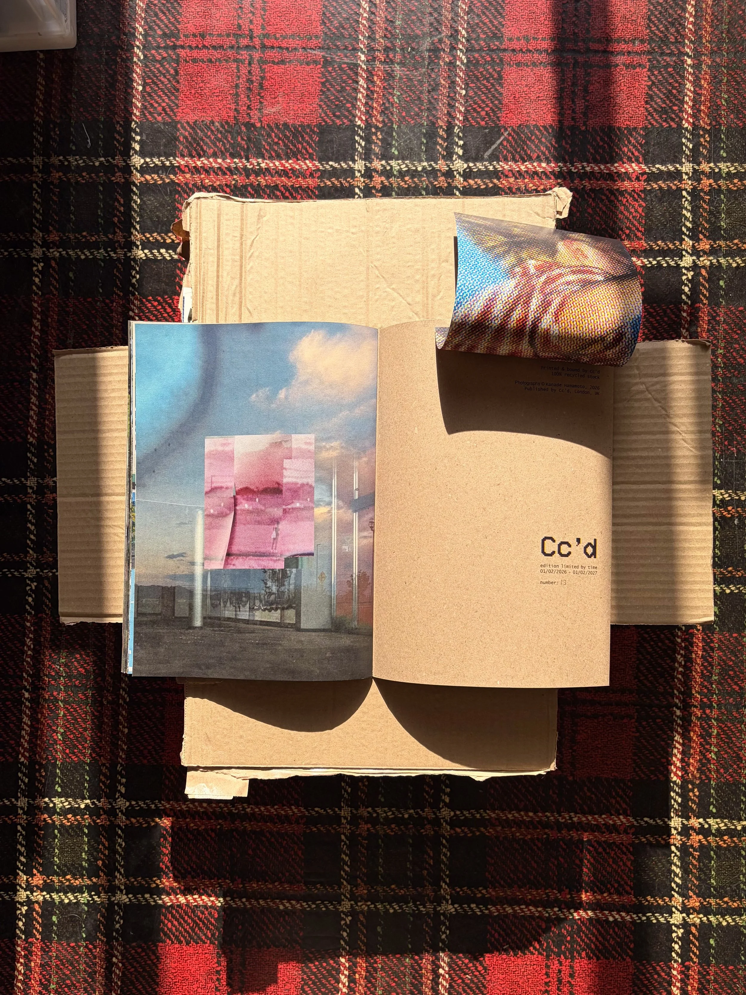 CCD_VANISHING POINT_17.jpg