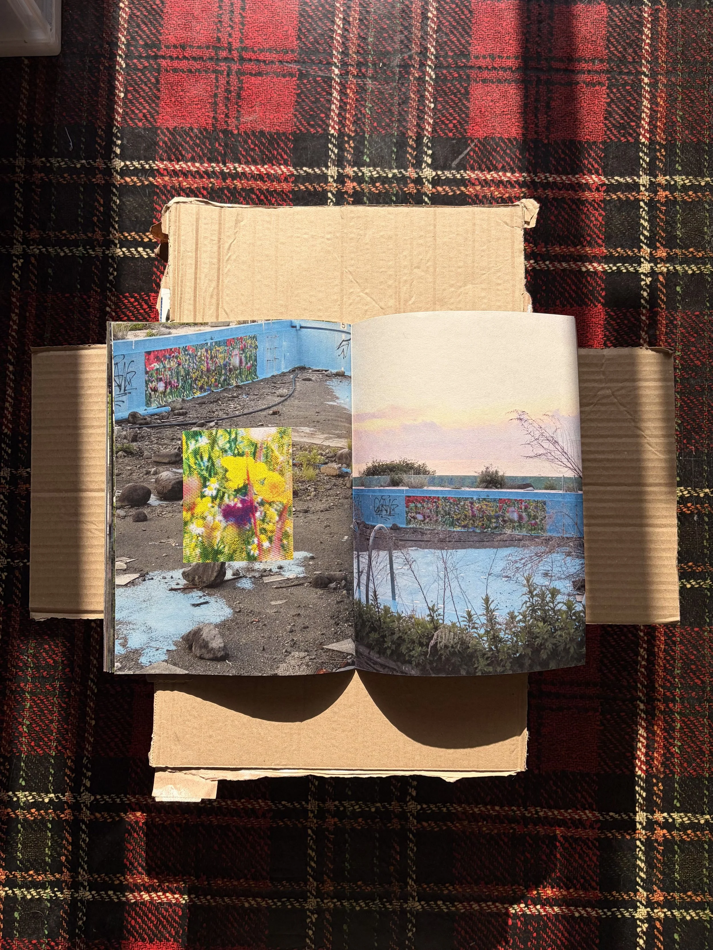 CCD_VANISHING POINT_14.jpg