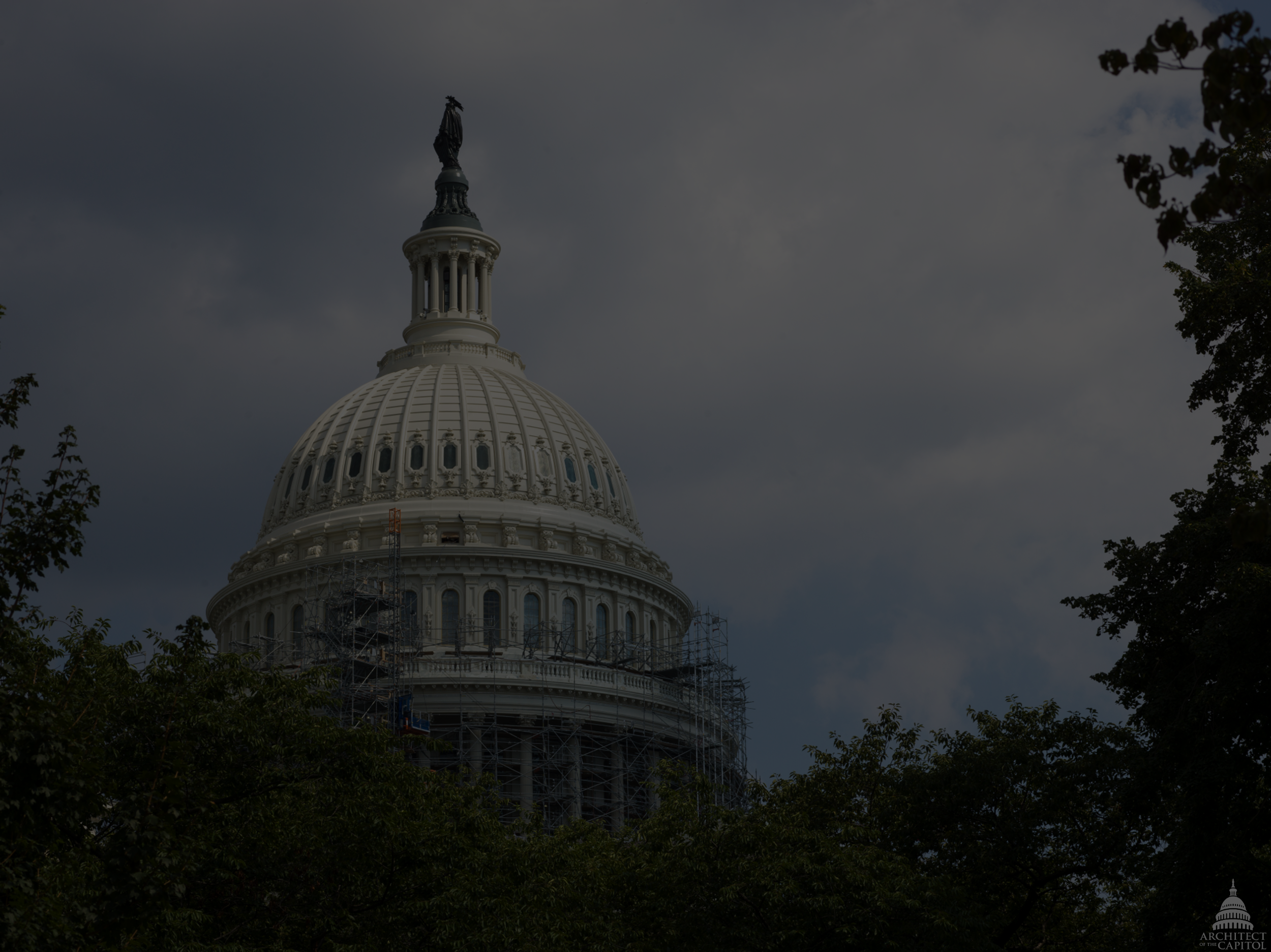 swamp stories ep. 11 banner.png