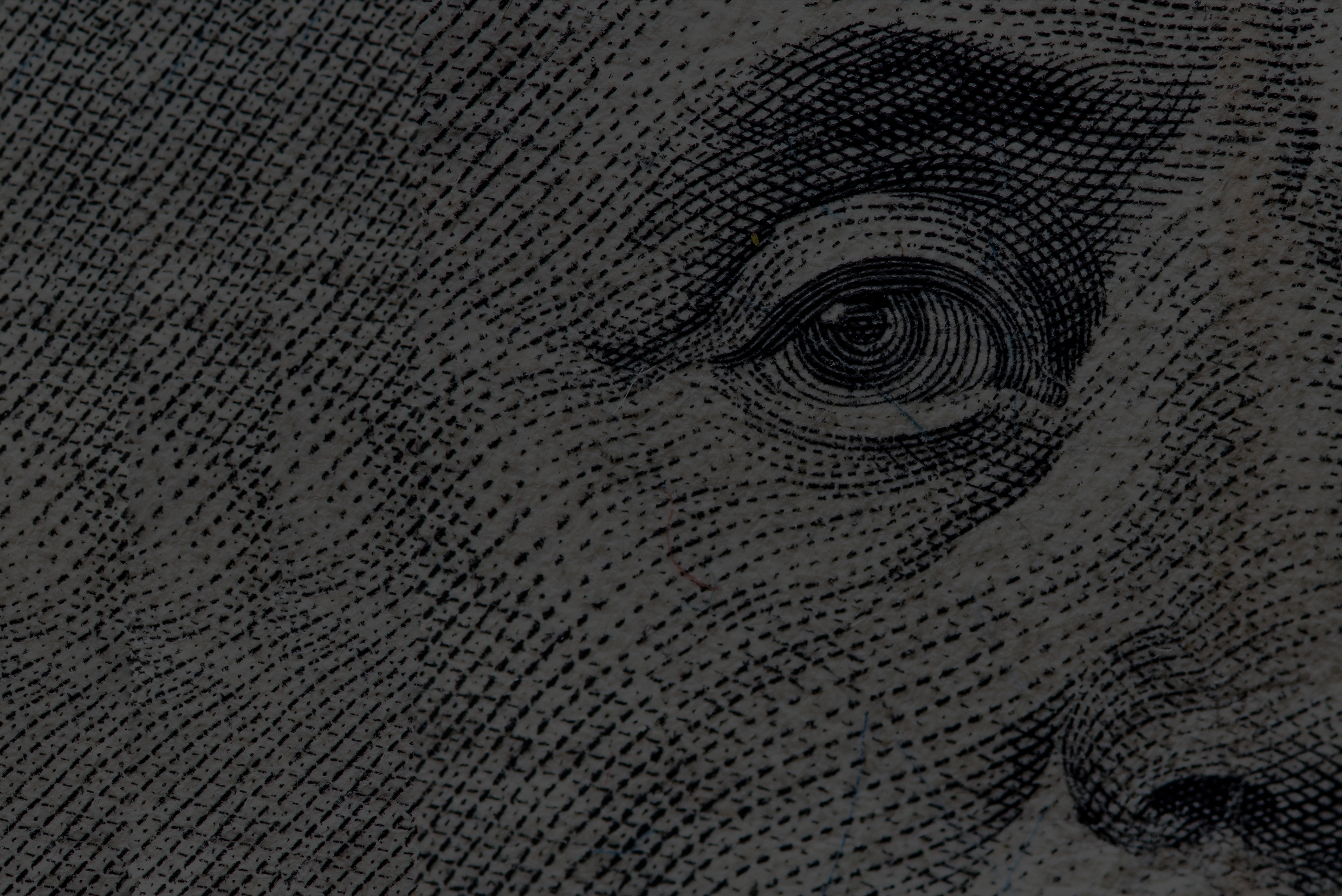 swamp stories ep. 13 banner image test.png