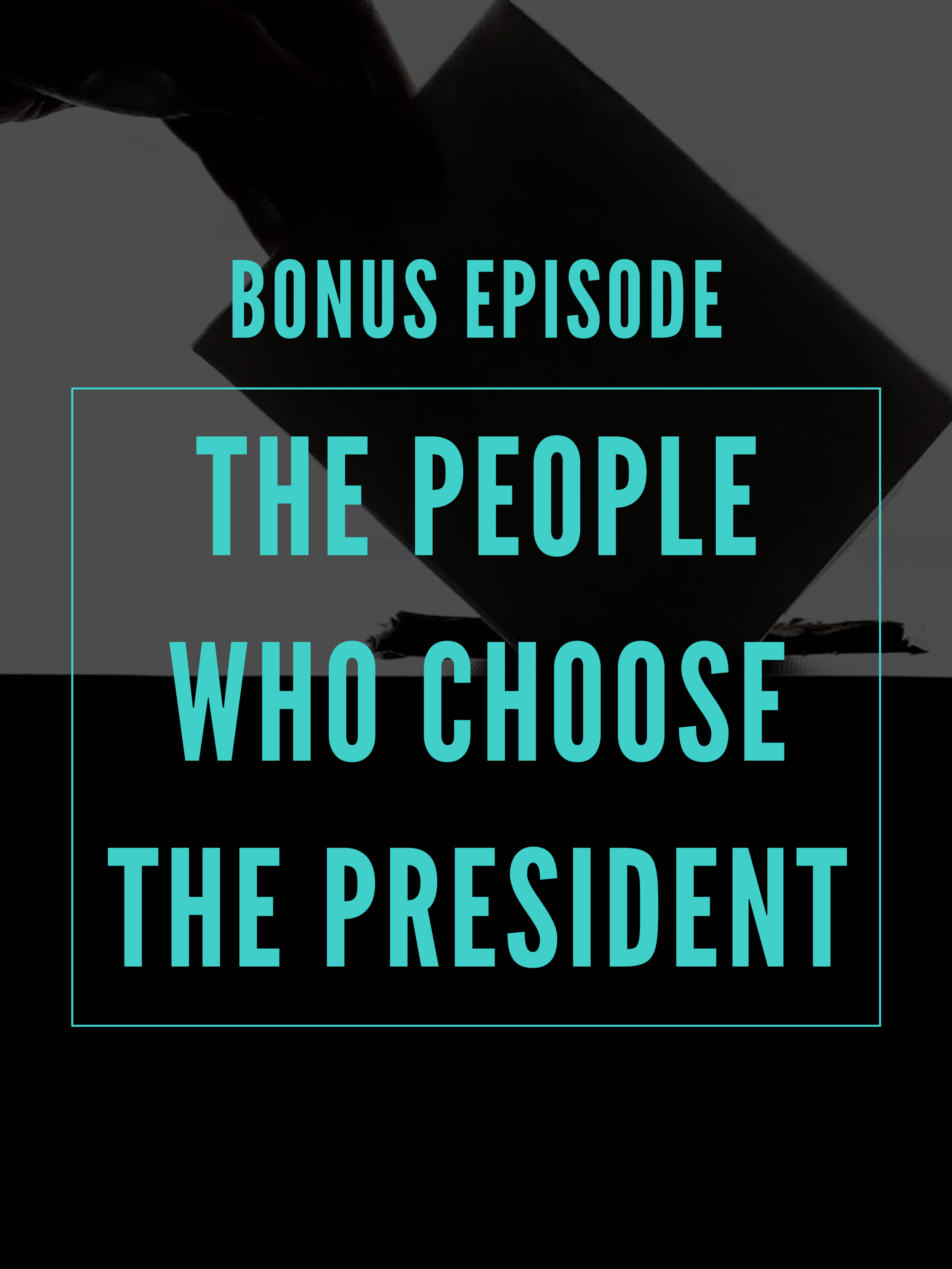 democracy works bonus ep main page art.png