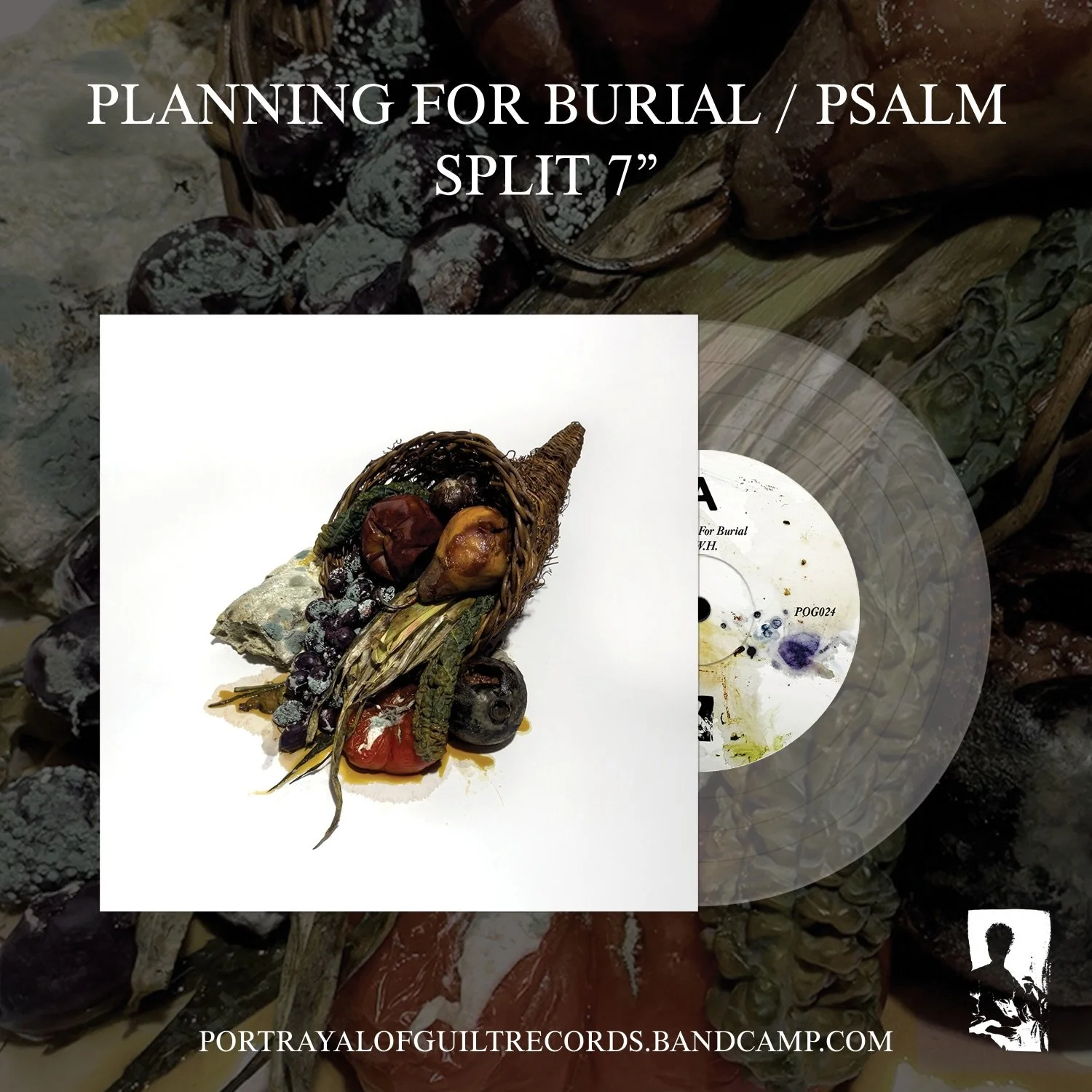 Stoked to announce POG024, an incredible split between @inmemoryofthom and @psalm_nyc. Pre-orders for the 7&rdquo; are available on @bandcamp in the US, as well as @evil_greed in EU &amp; @devildogdistro in the UK. Stream both tracks and grab the 7&r