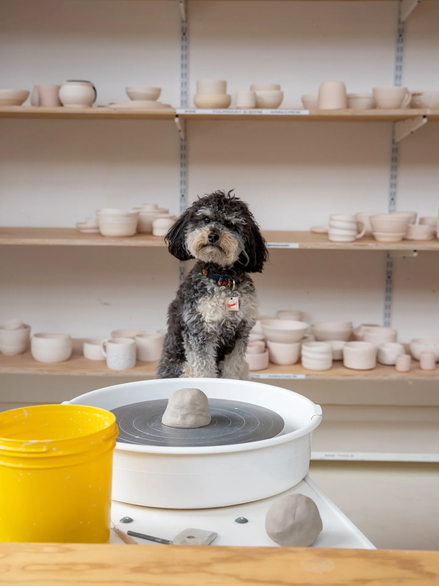 Looking for a thoughtful, easy holiday gift?
Clay Space offers two types of gift cards: -Class gift cards for semester + one time classes, workshops, and events -Shop gift cards for clay, tools, and firing services
Perfect for both first-time and lon