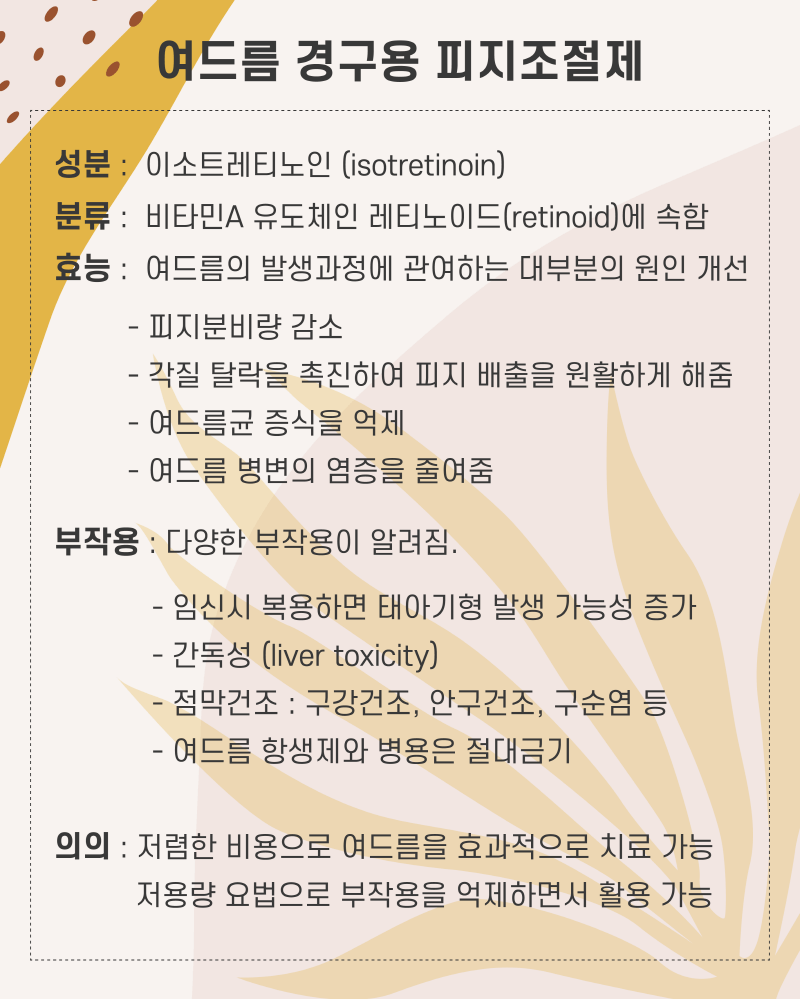레티노이드, 로아큐탄, 이소티논 효과 및 부작용 총정리