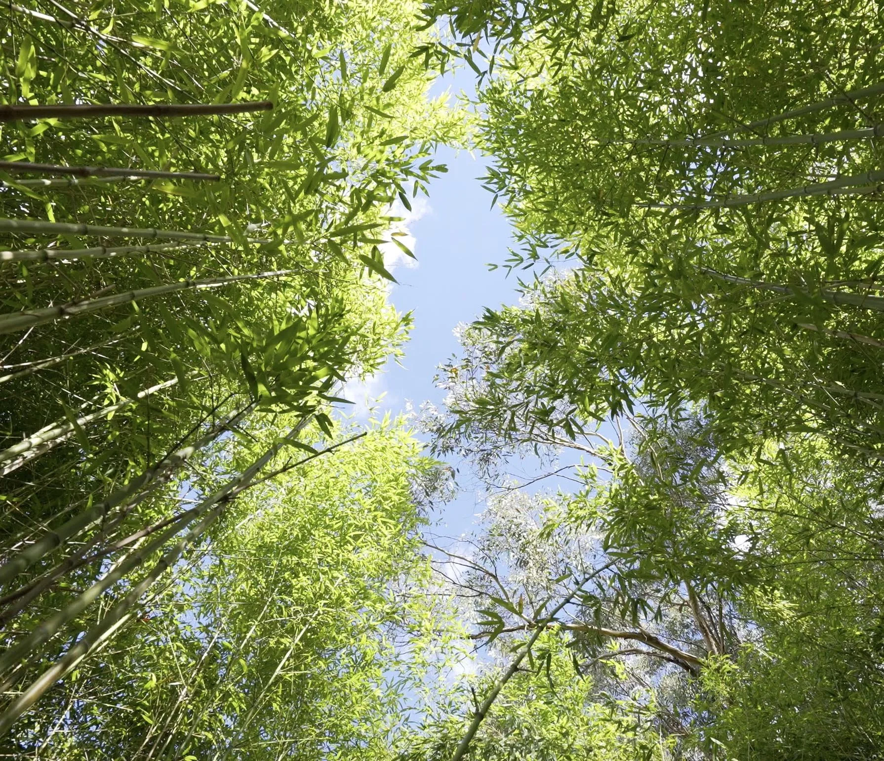 Bowral Landscaping Reality Escapes — Landscapers Sydney Landscape