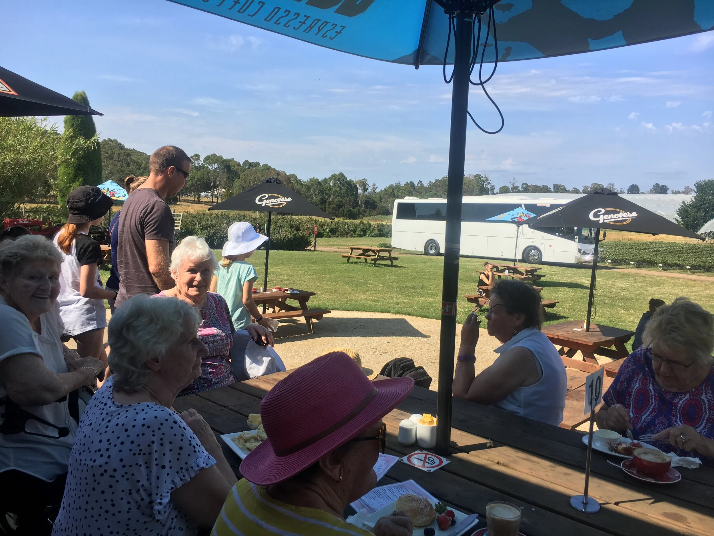 Seniors Coach Holiday Tours of Tasmania