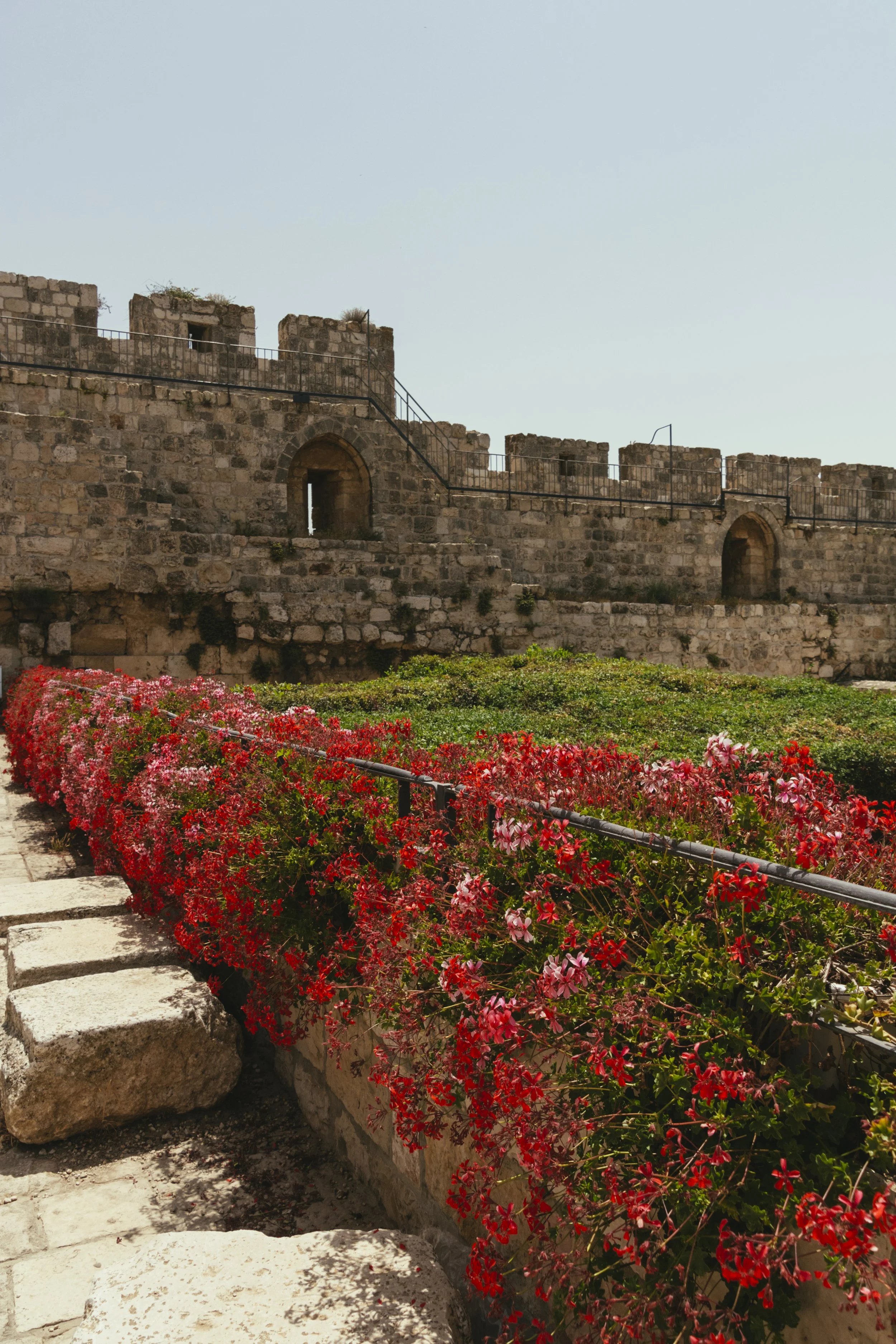 ISRAEL_2022_-155.jpg