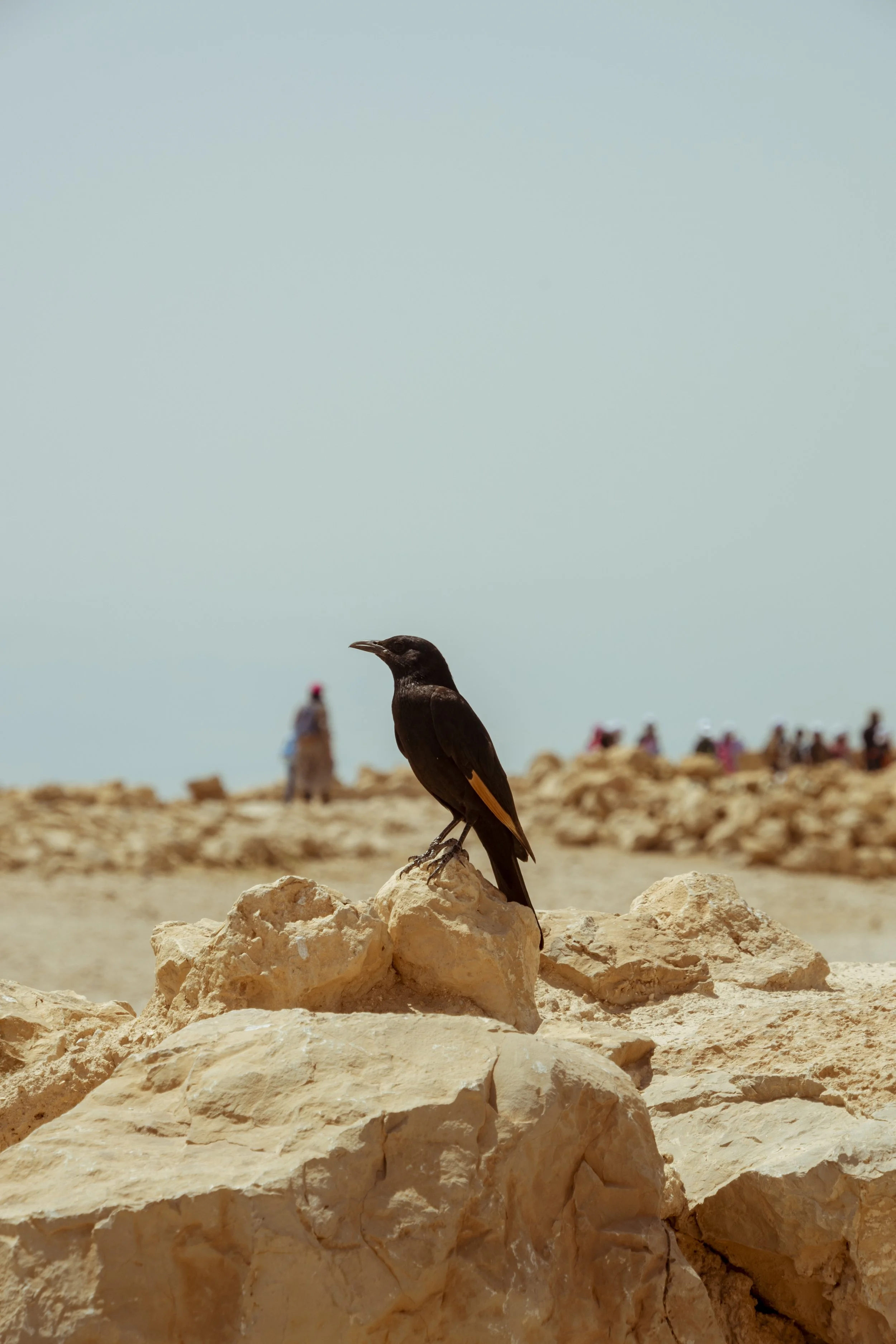 ISRAEL_2022_-193.jpg