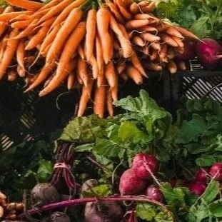 Your Guide to Good Immune Health