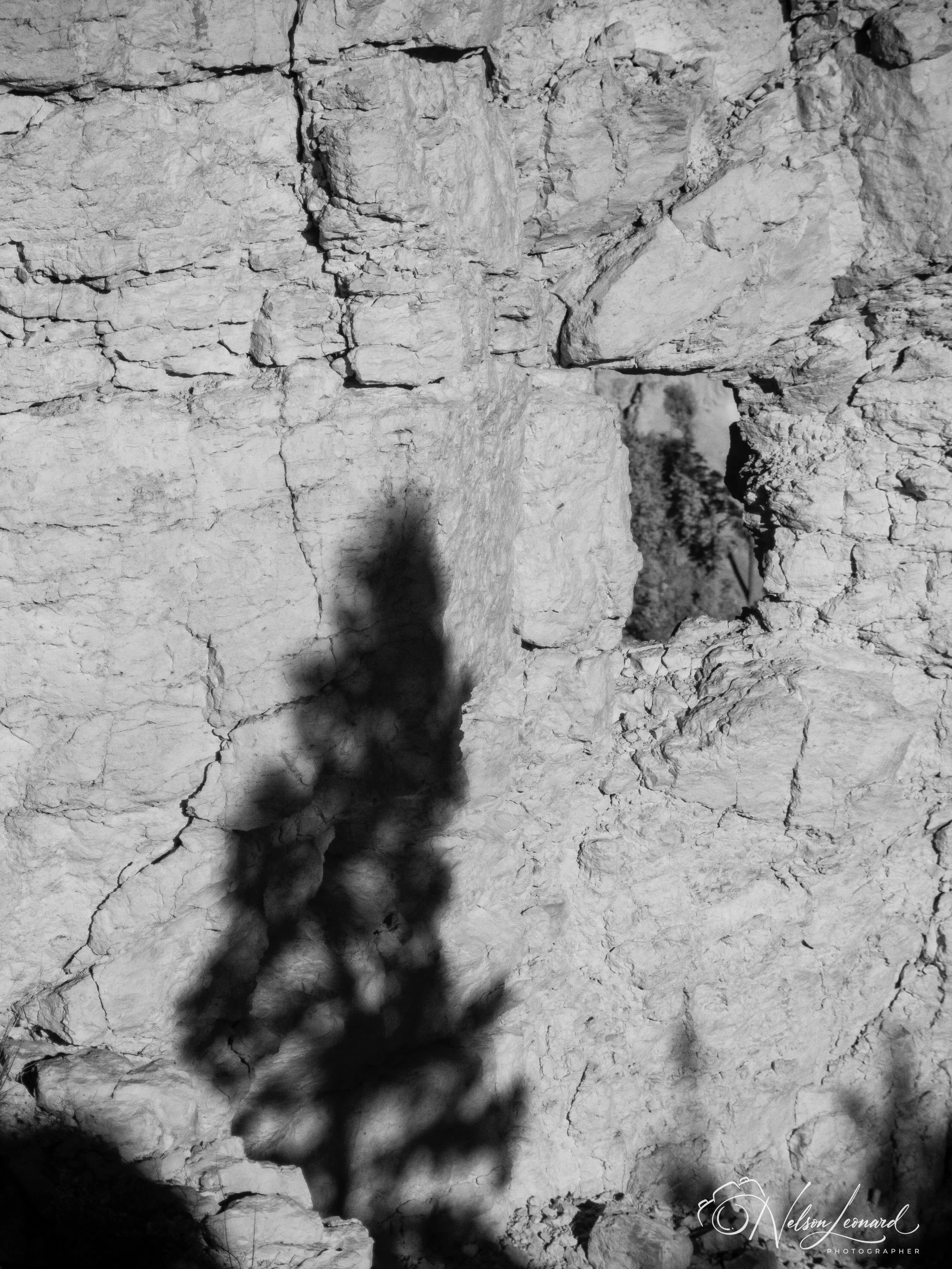 Bryce Canyon Infrared-125.jpg