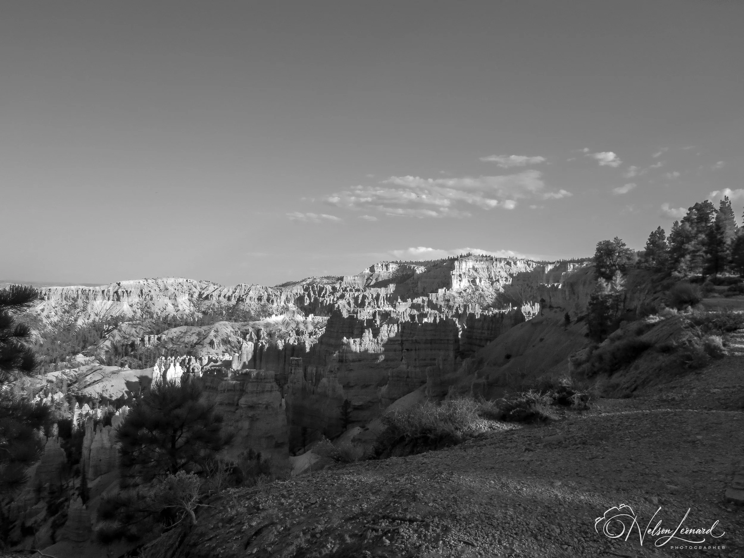 Bryce Canyon Infrared-132.jpg