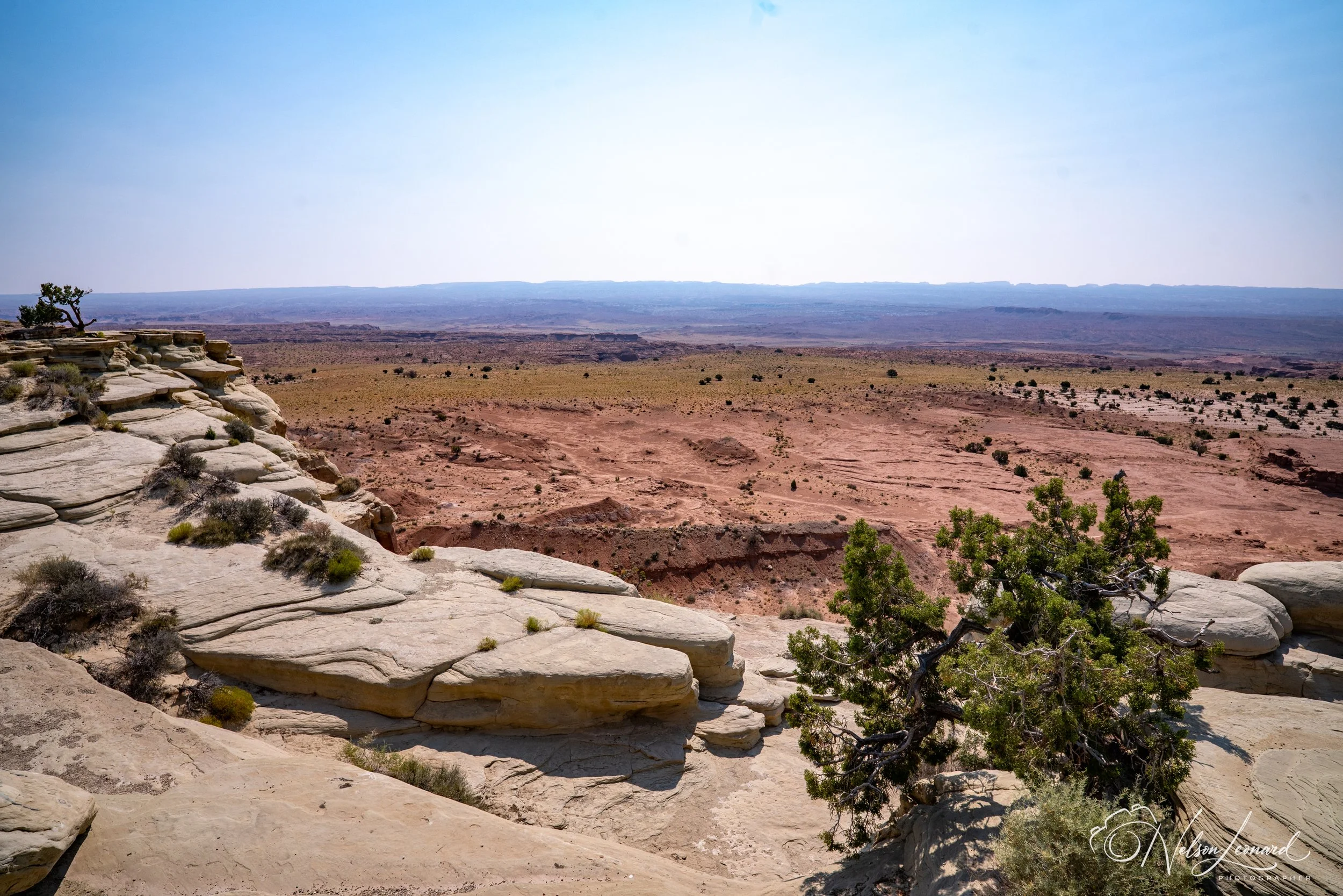 LA to Michigan w Cal-239.jpg
