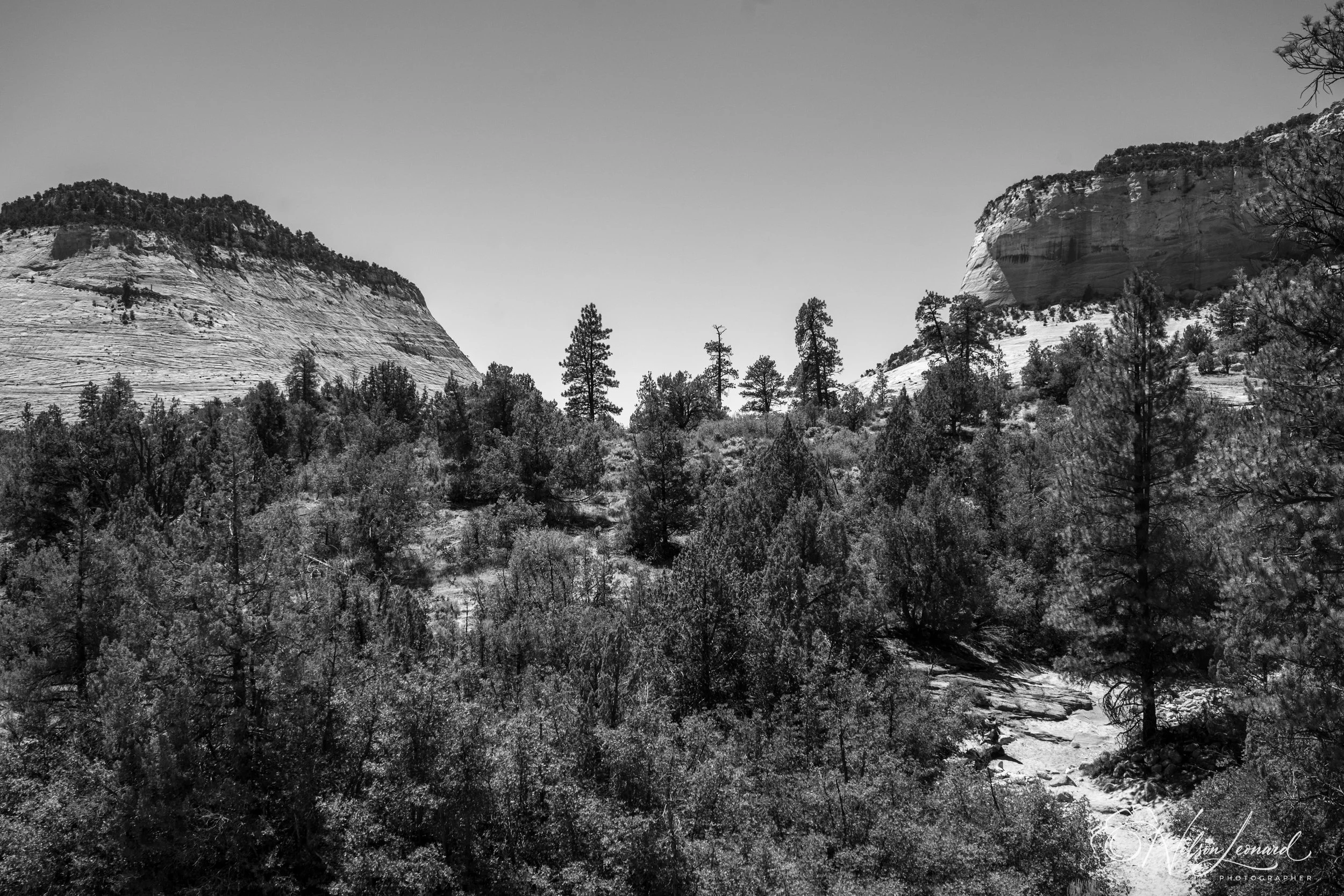 LA to Michigan w Cal-234.jpg