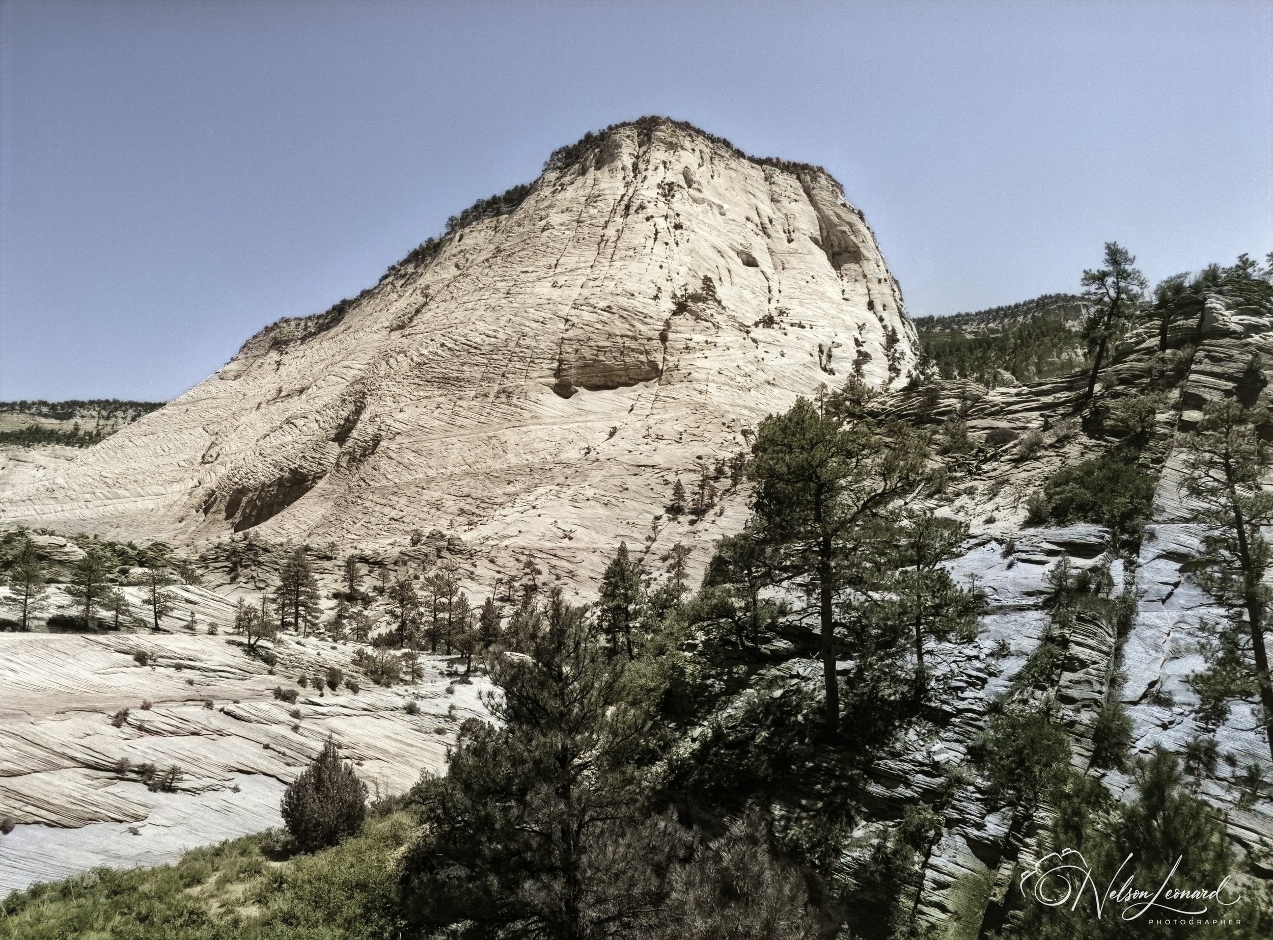 Zion NP 120PanF-113.jpg