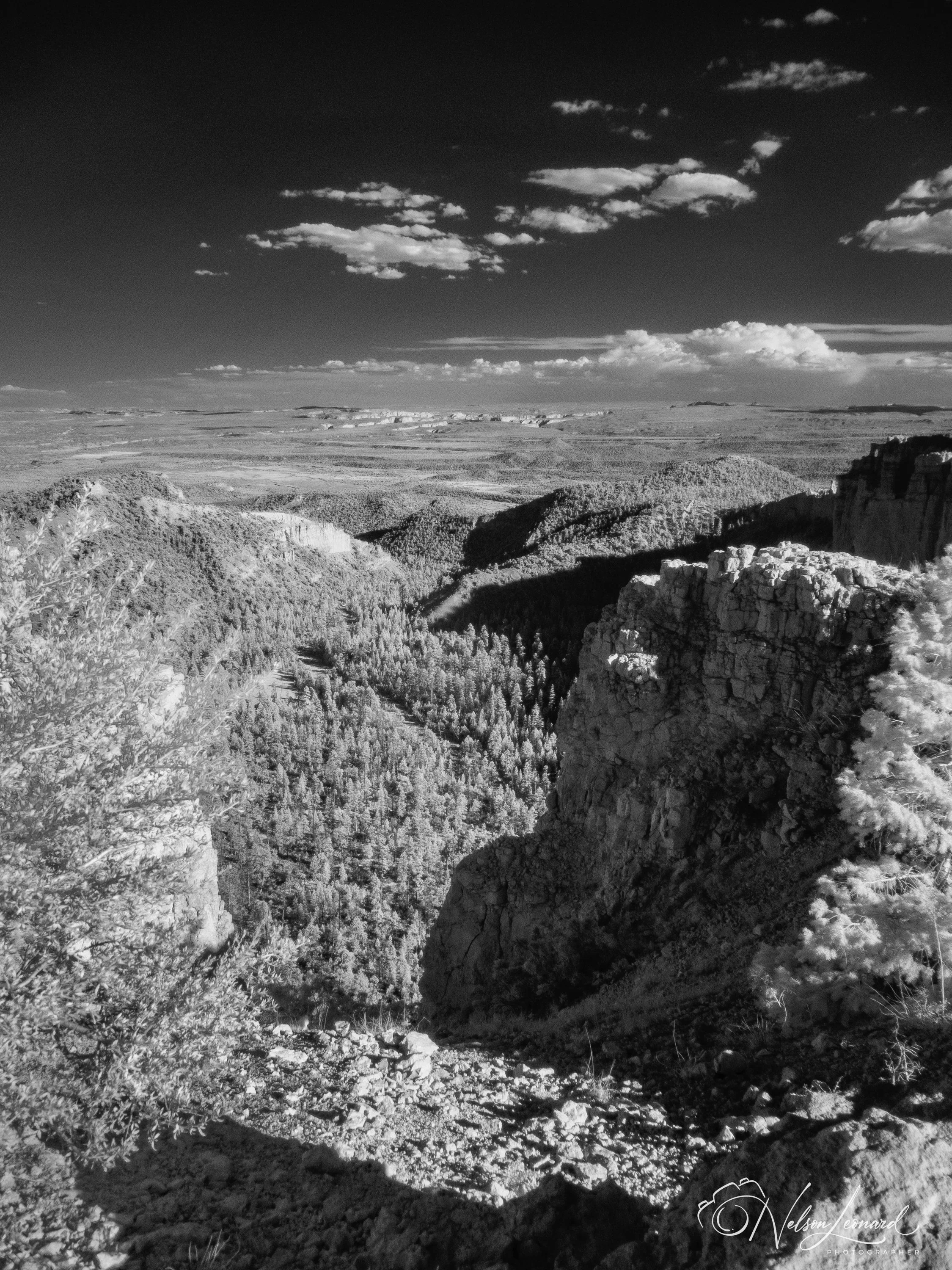 Bryce Canyon Infrared-123.jpg