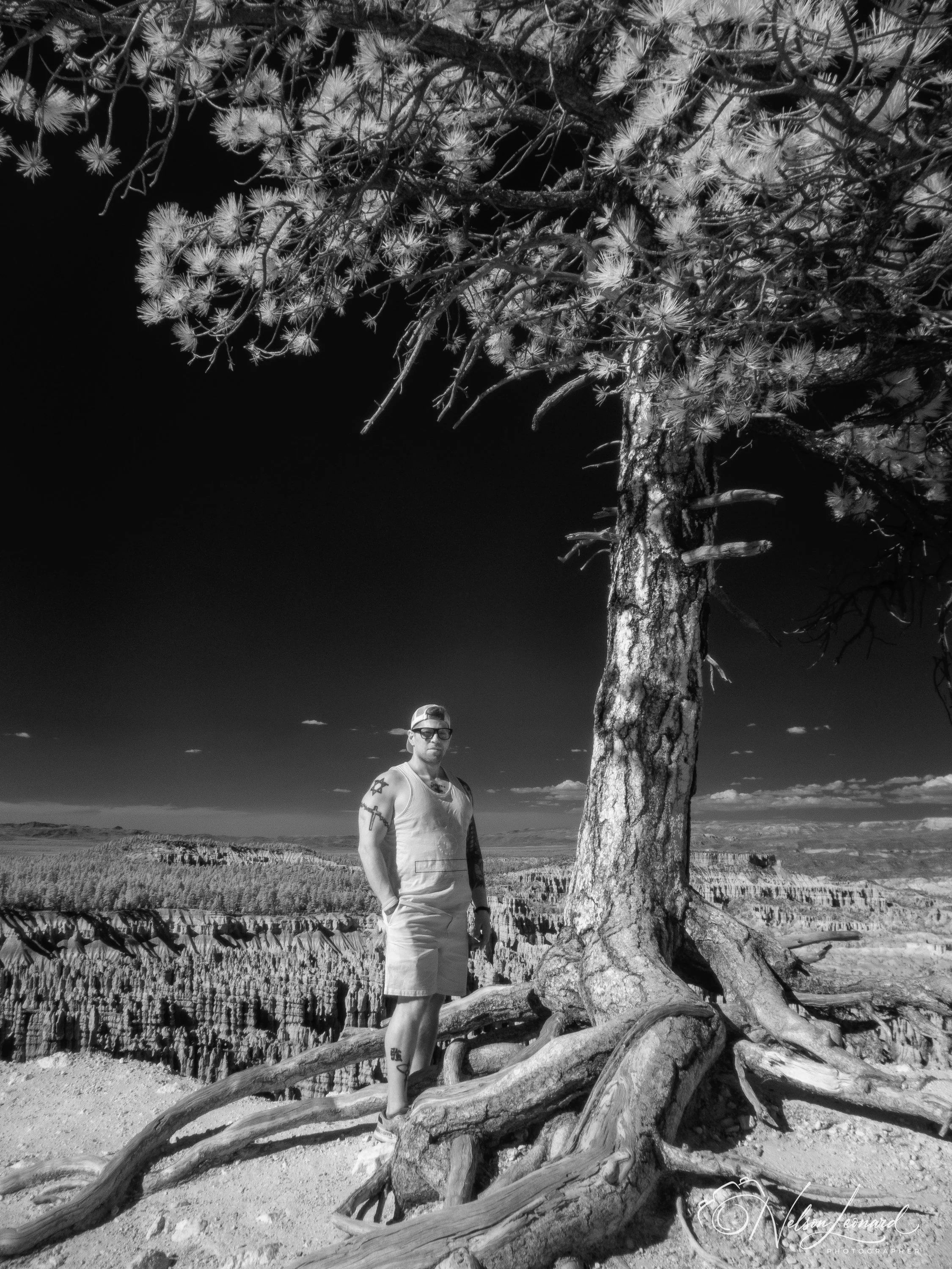 Bryce Canyon Infrared-102.jpg