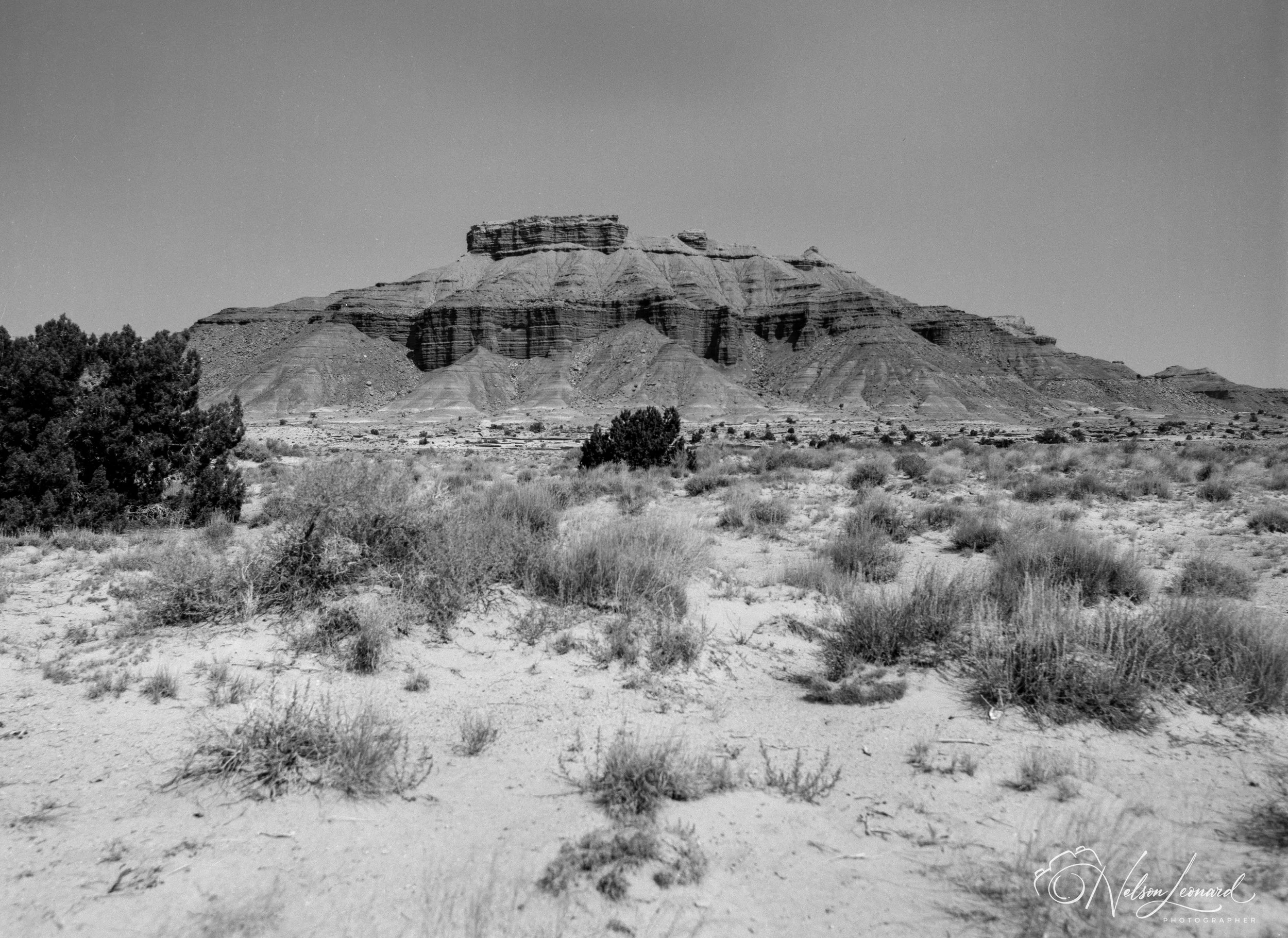 Bryce Canyon 120PanF-110.jpg