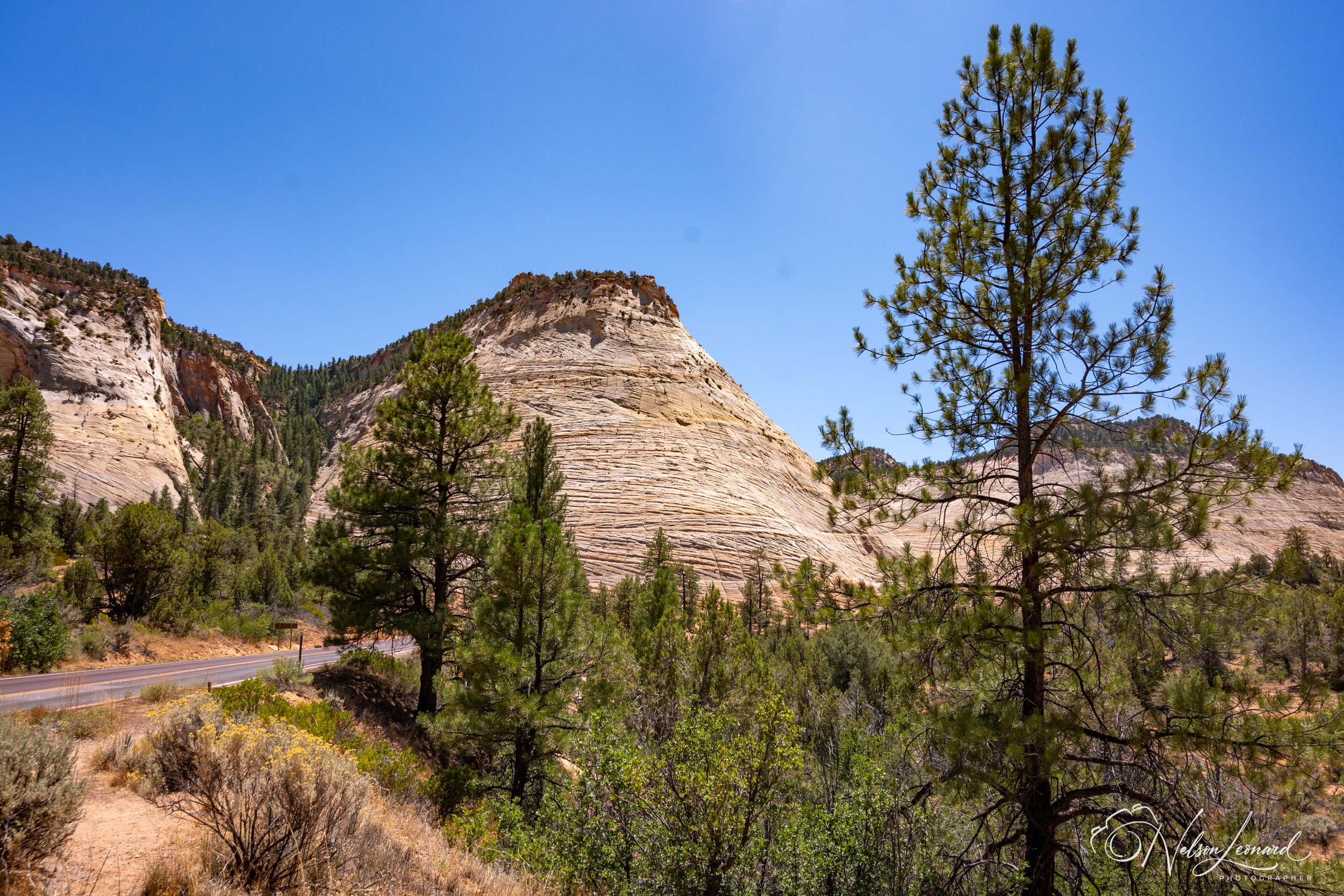 LA to Michigan w Cal-231.jpg