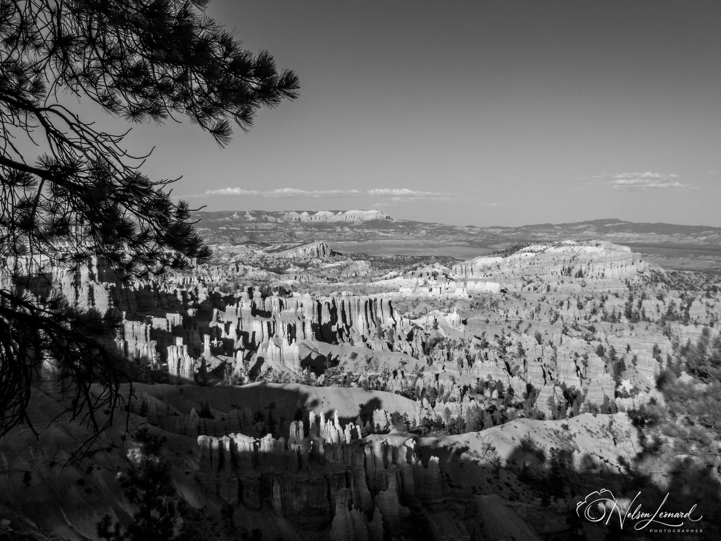 Bryce Canyon Infrared-128.jpg