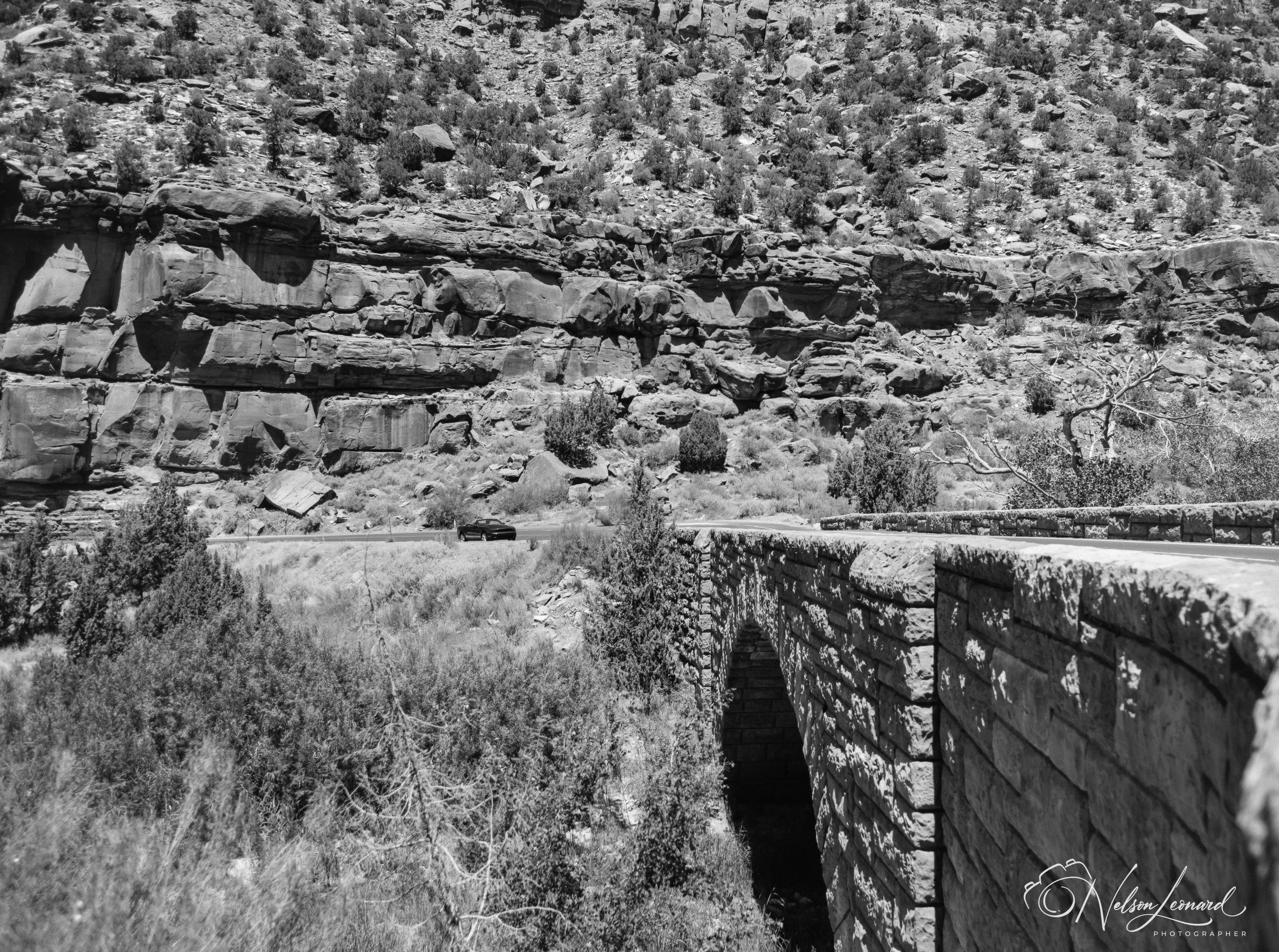 Zion NP 120PanF-110.jpg