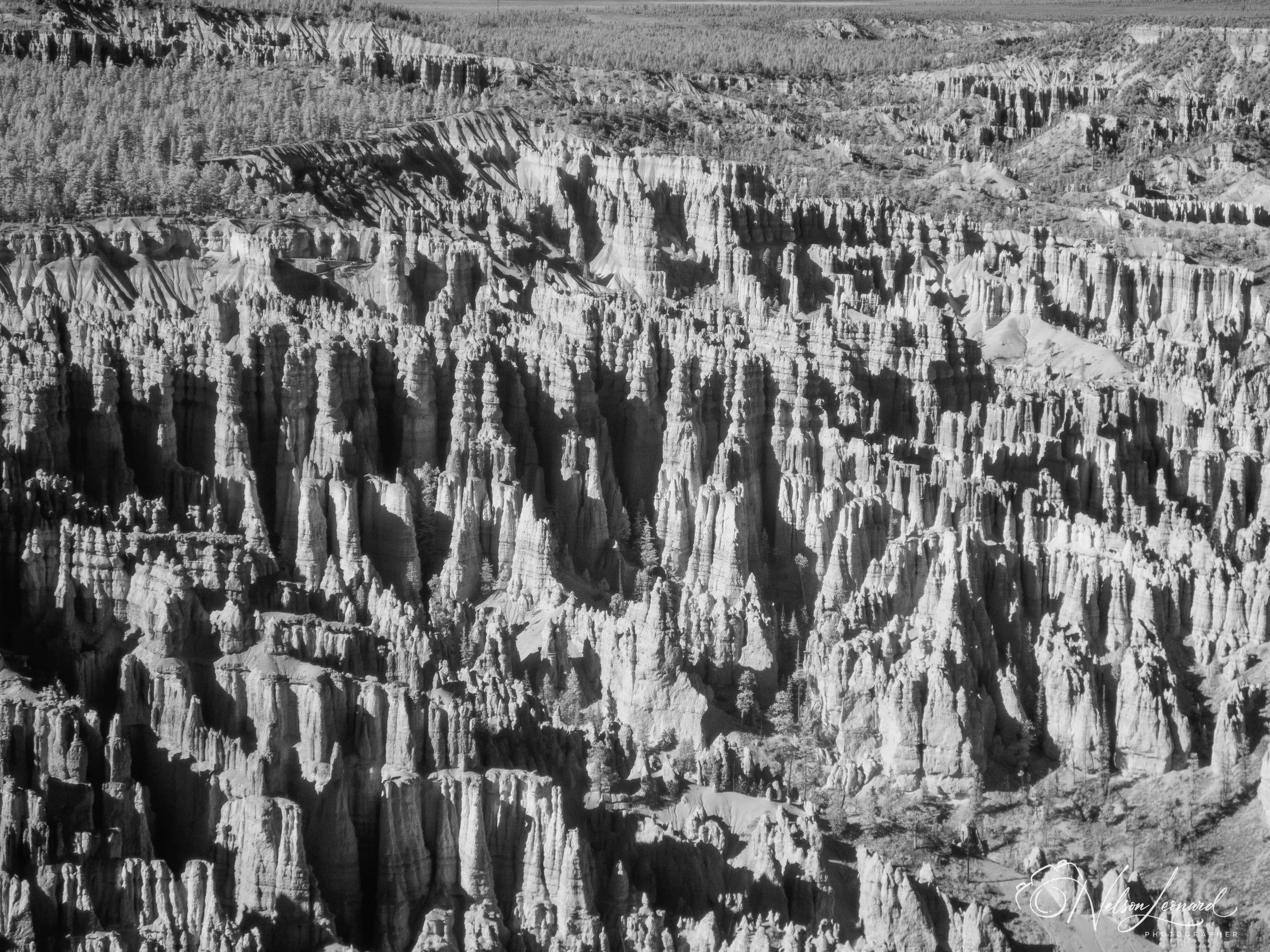 Bryce Canyon Infrared-106.jpg